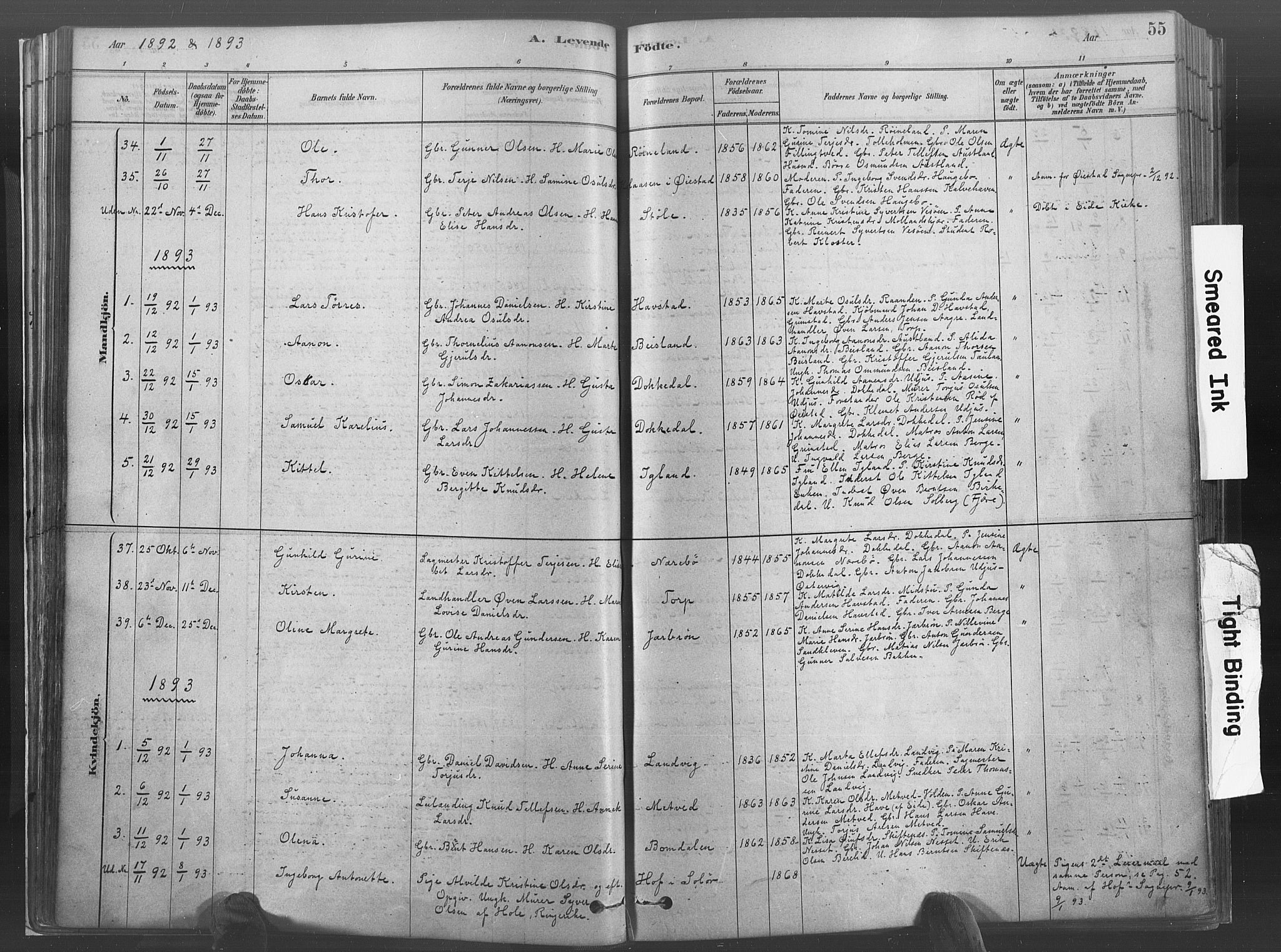 Hommedal sokneprestkontor, AV/SAK-1111-0023/F/Fa/Fab/L0006: Parish register (official) no. A 6, 1878-1897, p. 55