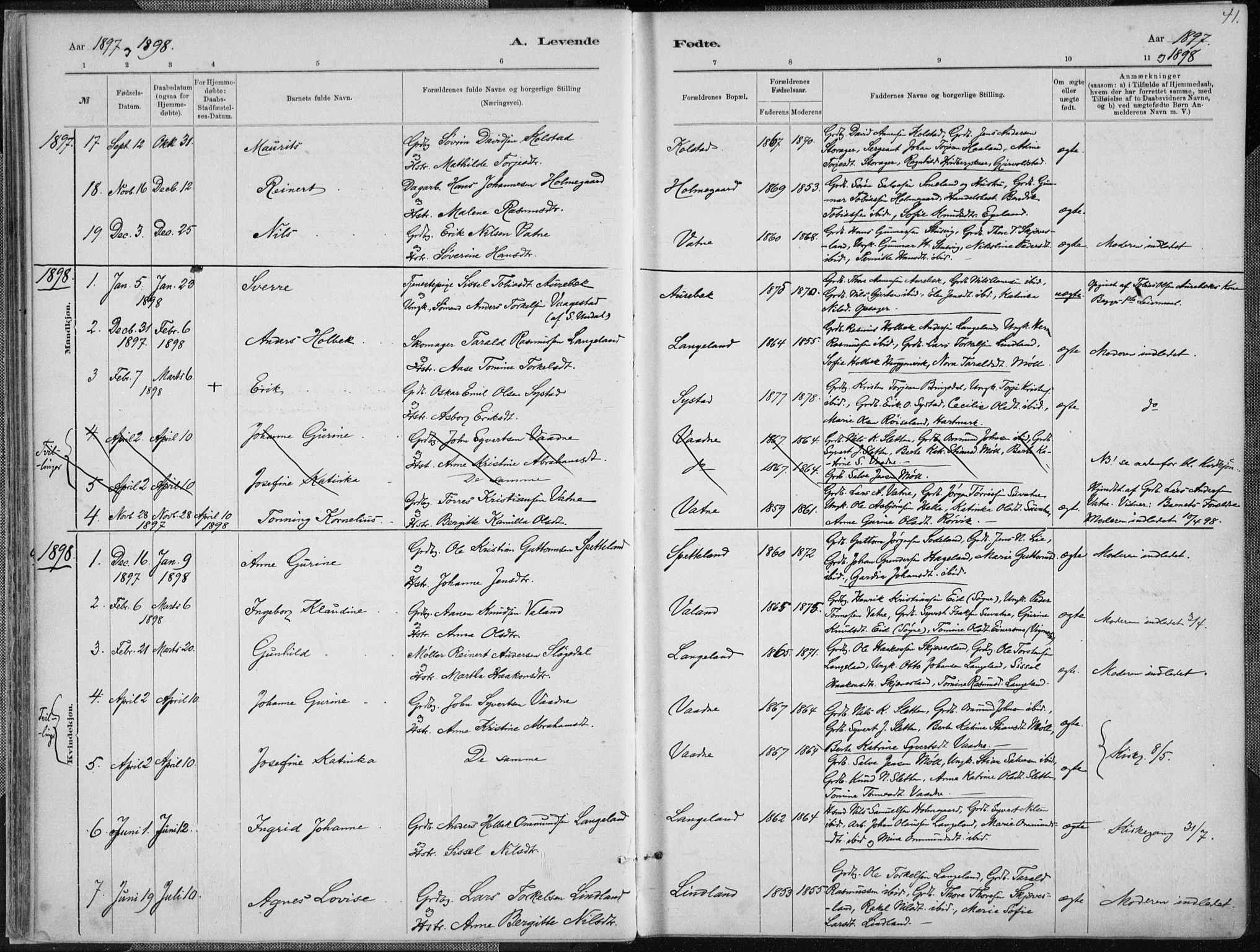 Holum sokneprestkontor, SAK/1111-0022/F/Fa/Faa/L0007: Parish register (official) no. A 7, 1884-1907, p. 41