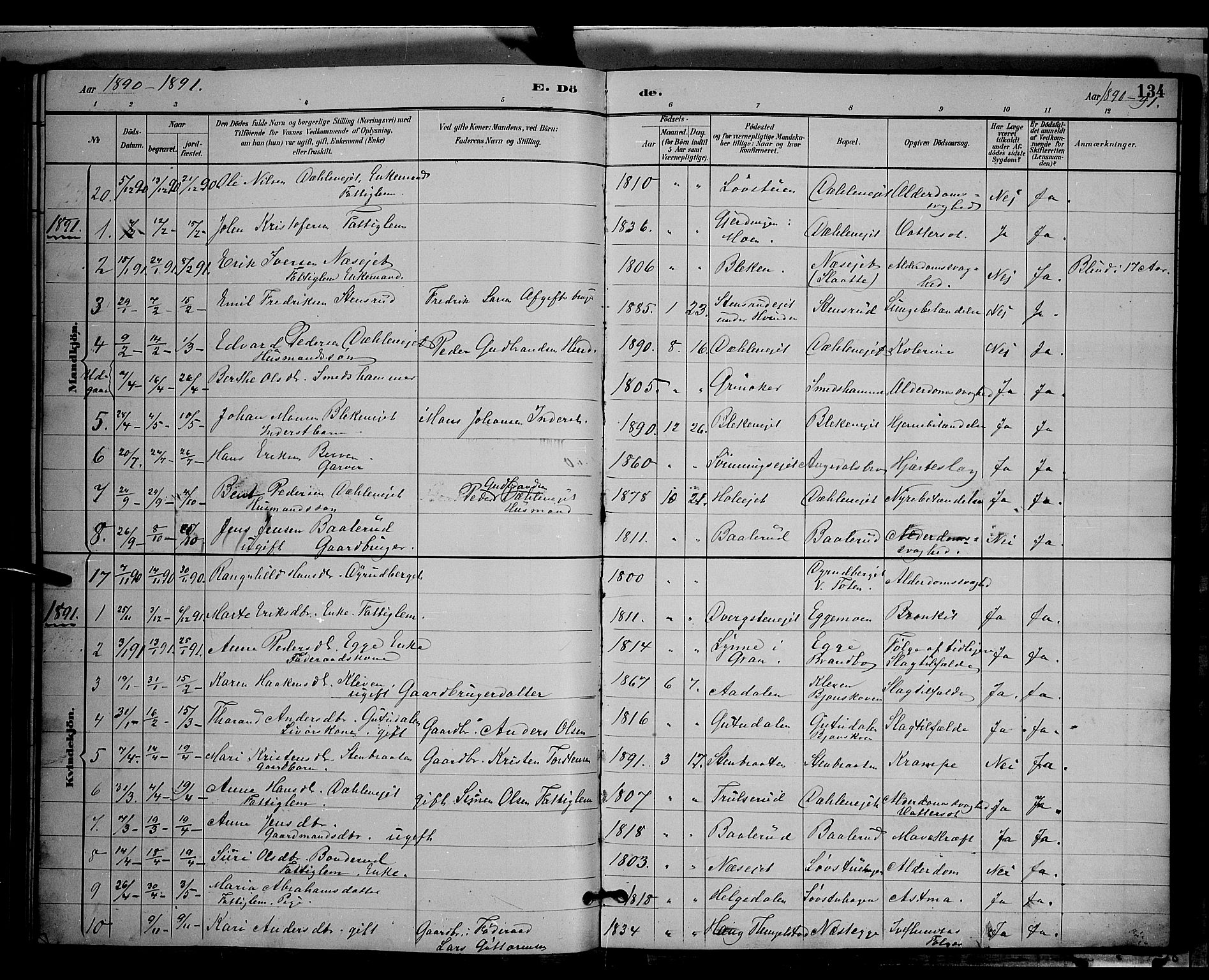 Gran prestekontor, SAH/PREST-112/H/Ha/Hab/L0004: Parish register (copy) no. 4, 1890-1899, p. 134