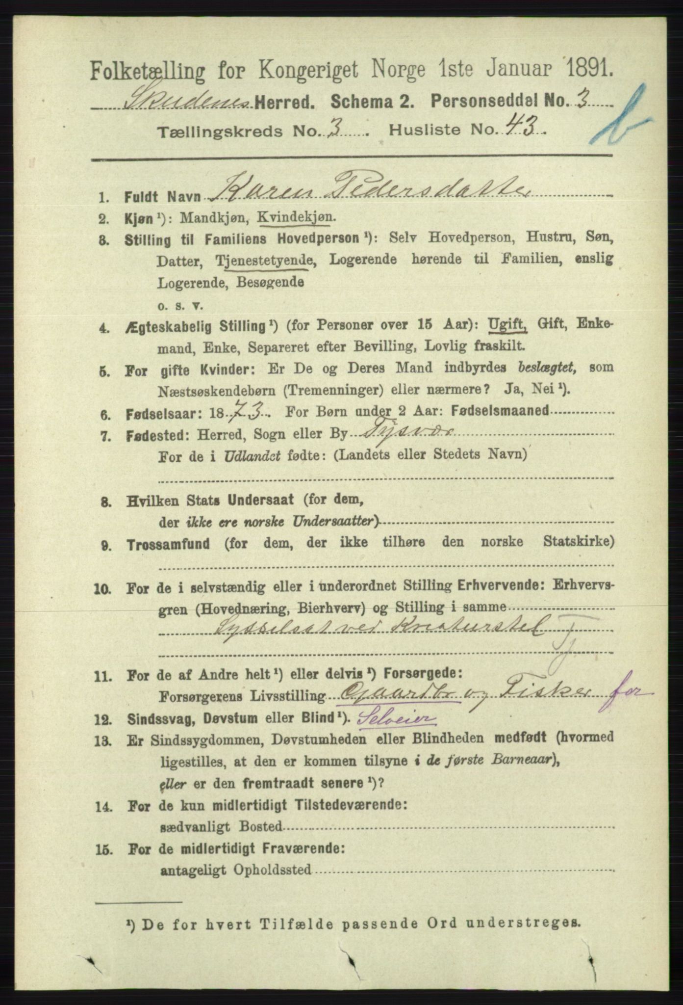 RA, 1891 census for 1150 Skudenes, 1891, p. 4223