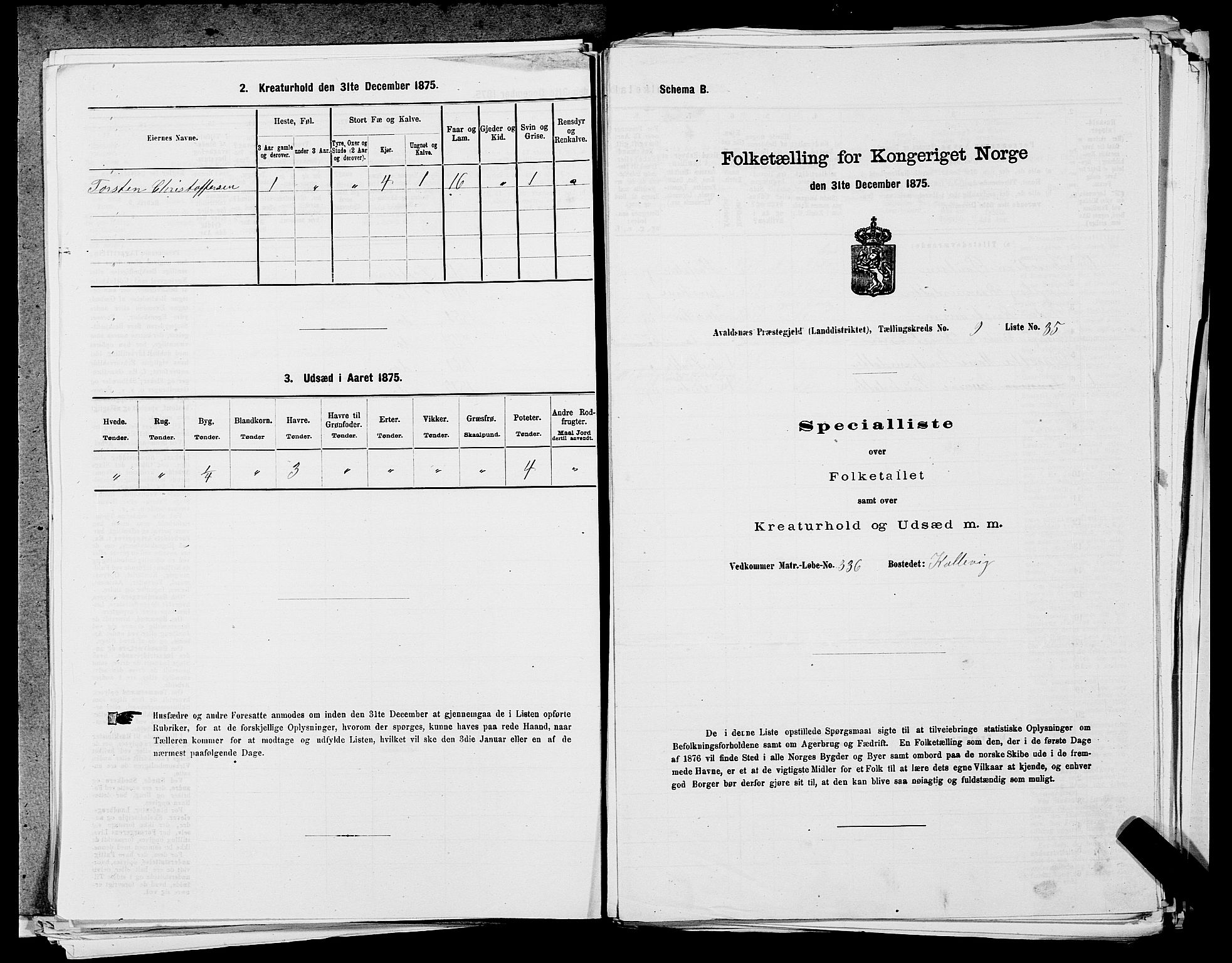SAST, 1875 census for 1147L Avaldsnes/Avaldsnes og Kopervik, 1875, p. 1487