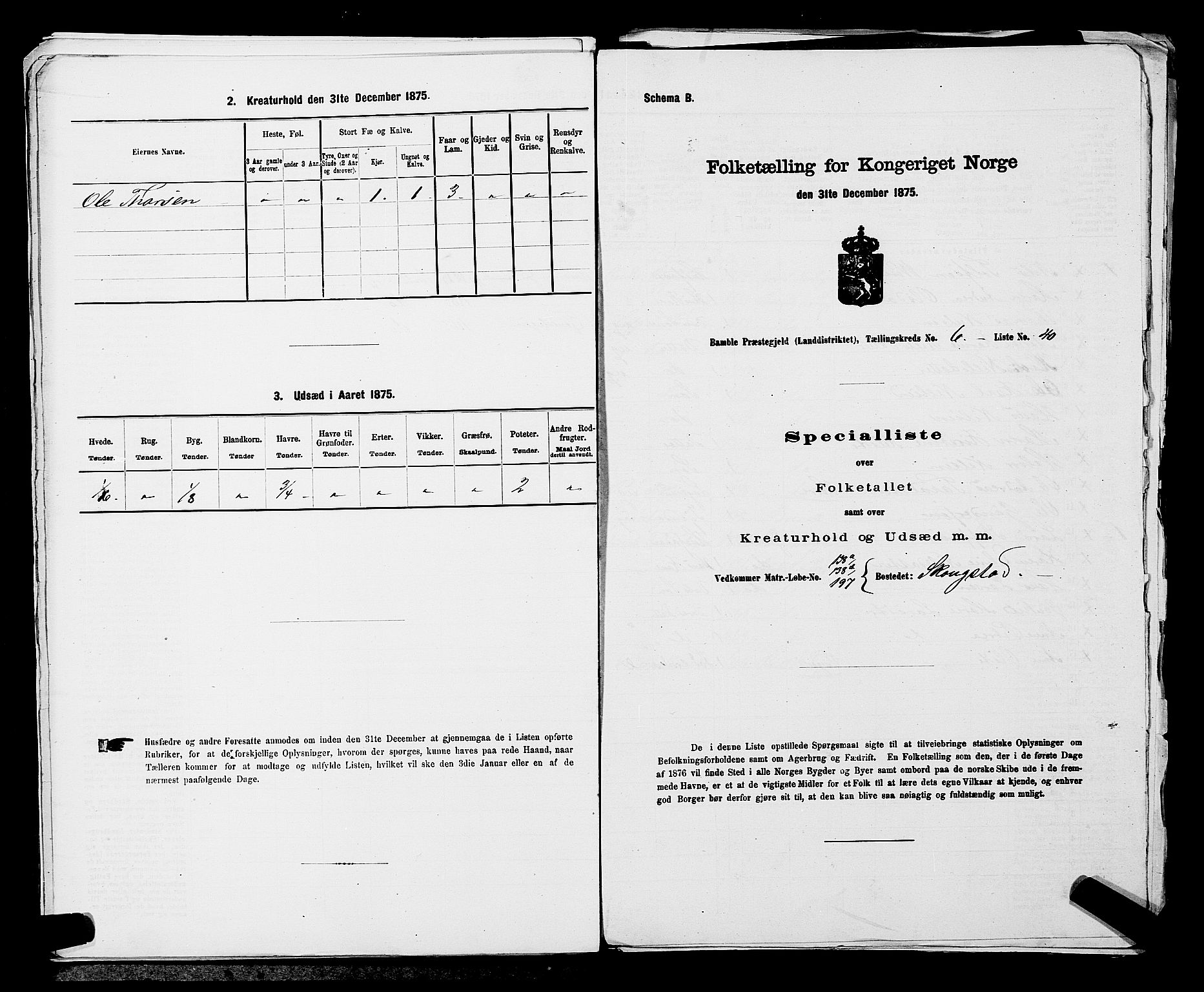 SAKO, 1875 census for 0814L Bamble/Bamble, 1875, p. 941