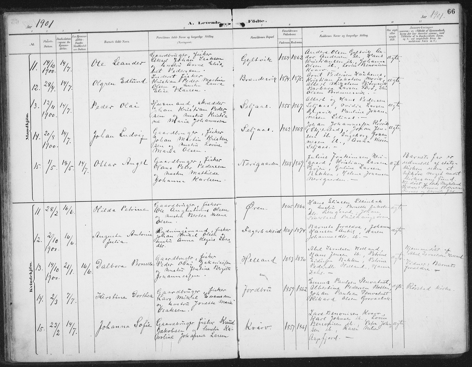 Ministerialprotokoller, klokkerbøker og fødselsregistre - Nordland, SAT/A-1459/854/L0779: Parish register (official) no. 854A02, 1892-1909, p. 66