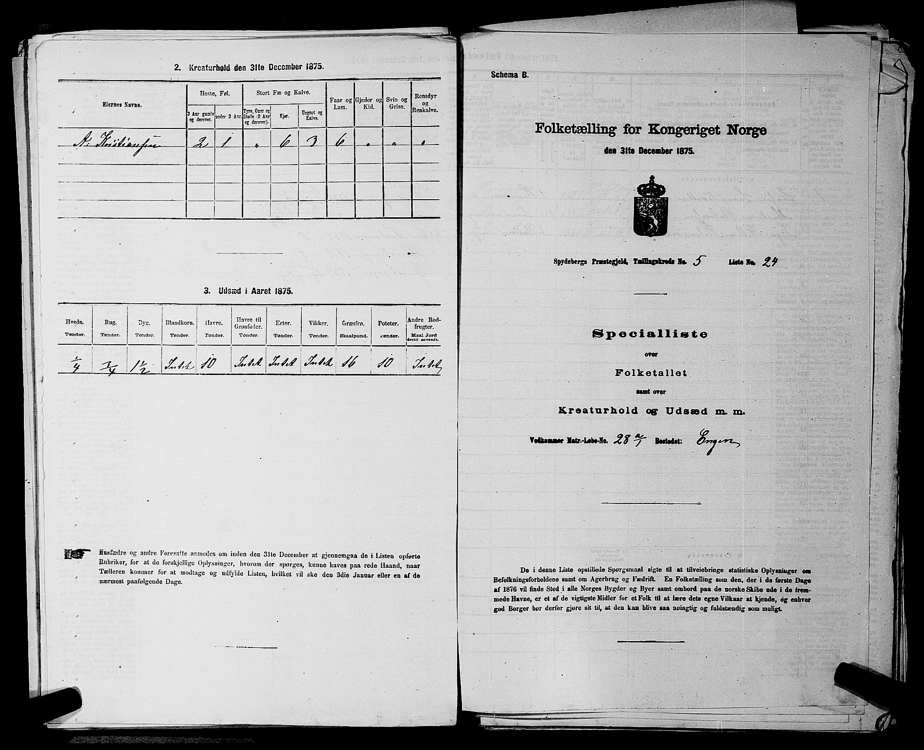 RA, 1875 census for 0123P Spydeberg, 1875, p. 689