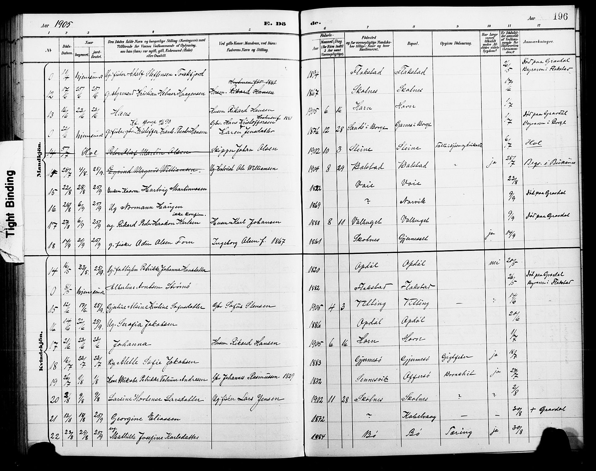 Ministerialprotokoller, klokkerbøker og fødselsregistre - Nordland, AV/SAT-A-1459/881/L1168: Parish register (copy) no. 881C05, 1900-1911, p. 196