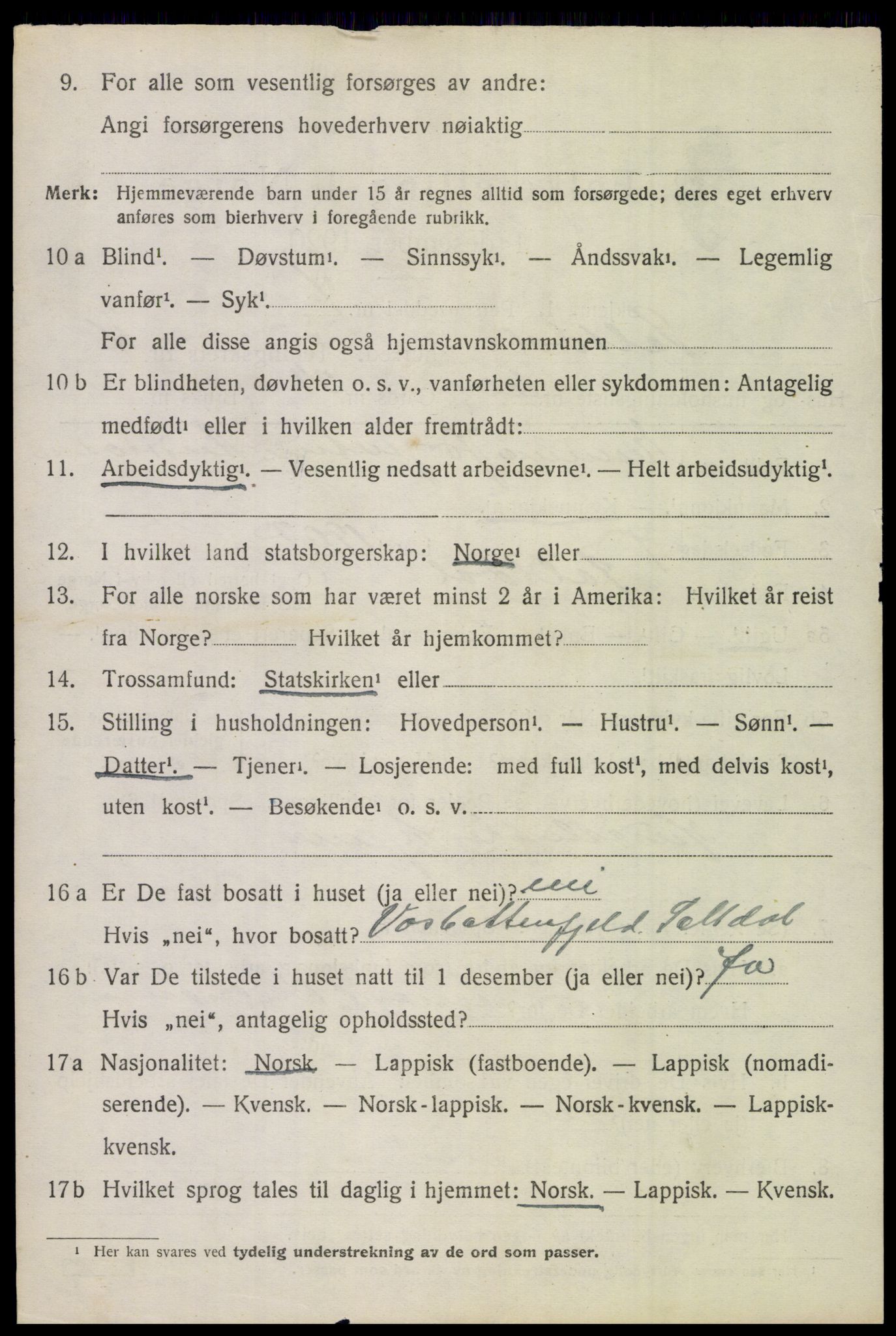 SAT, 1920 census for Saltdal, 1920, p. 6430