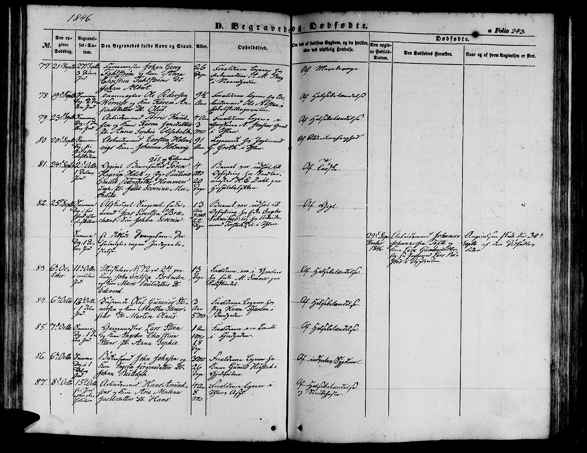 Ministerialprotokoller, klokkerbøker og fødselsregistre - Sør-Trøndelag, AV/SAT-A-1456/602/L0137: Parish register (copy) no. 602C05, 1846-1856, p. 243