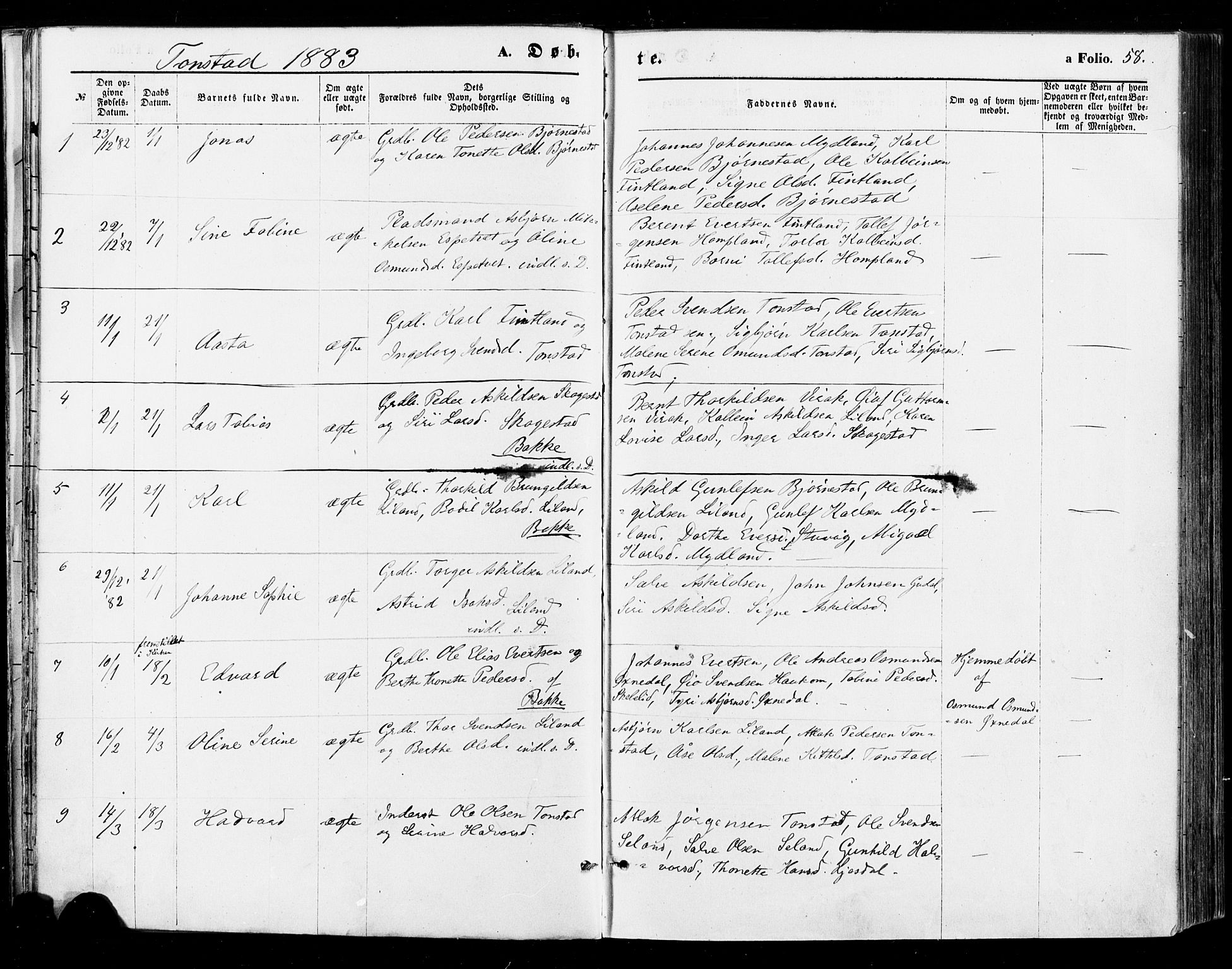 Sirdal sokneprestkontor, SAK/1111-0036/F/Fa/Fab/L0003: Parish register (official) no. A 3, 1874-1886, p. 58