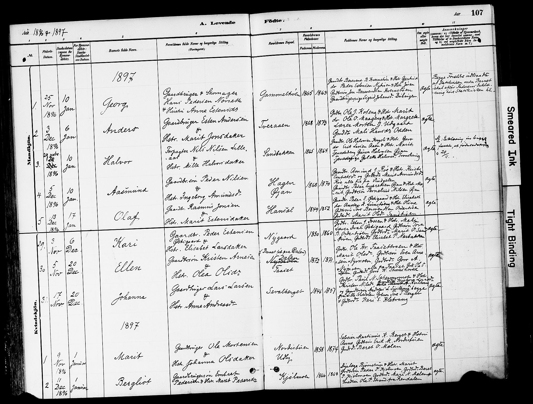 Tynset prestekontor, SAH/PREST-058/H/Ha/Haa/L0022: Parish register (official) no. 22, 1880-1899, p. 107