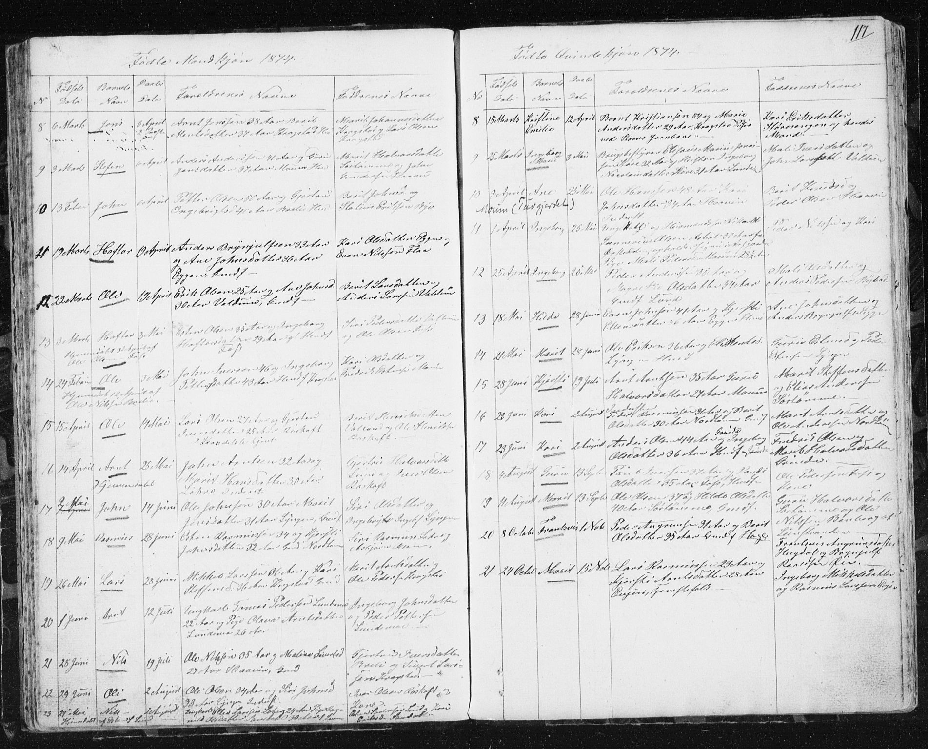 Ministerialprotokoller, klokkerbøker og fødselsregistre - Sør-Trøndelag, SAT/A-1456/692/L1110: Parish register (copy) no. 692C05, 1849-1889, p. 117