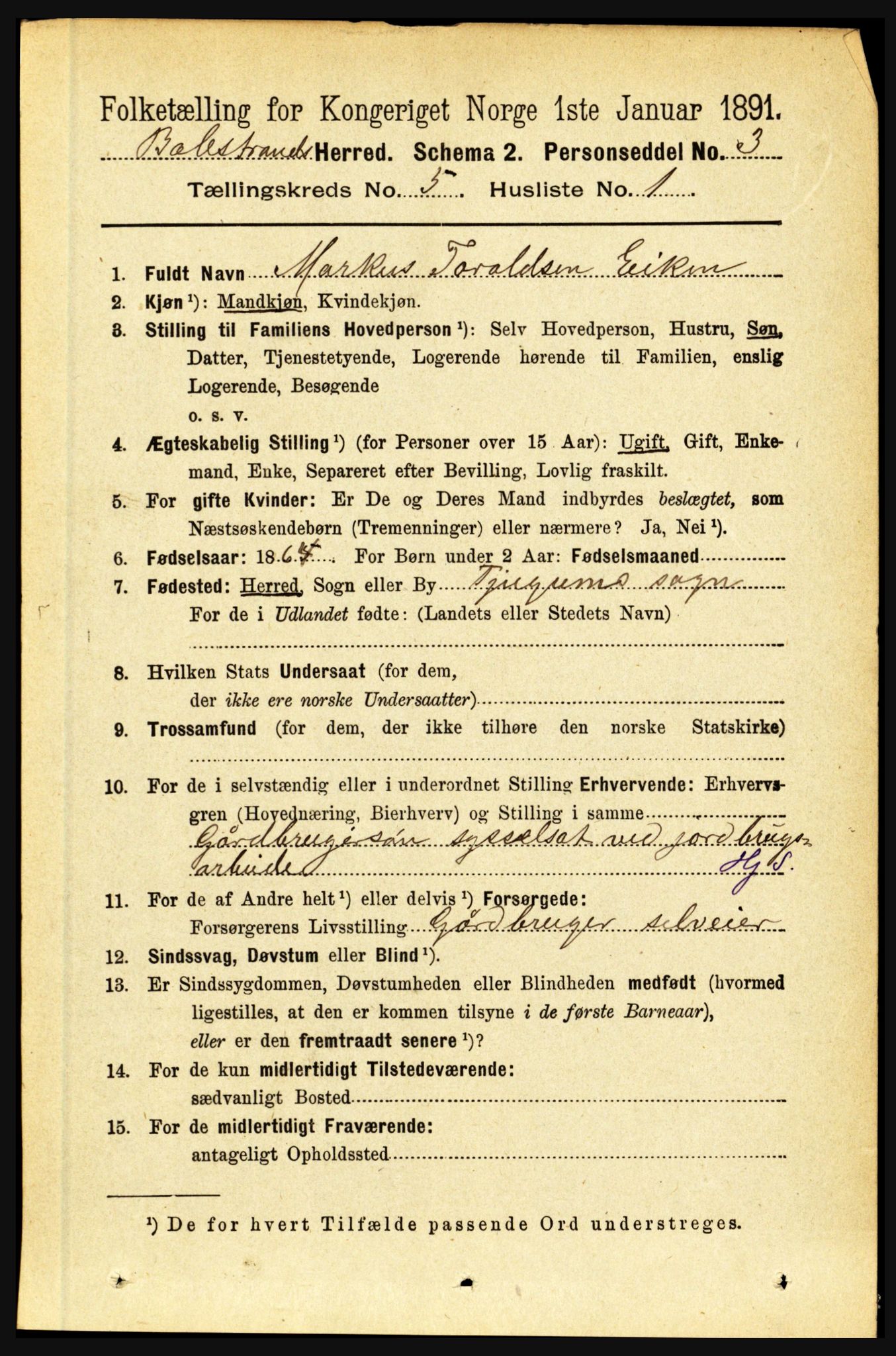 RA, 1891 census for 1418 Balestrand, 1891, p. 1113