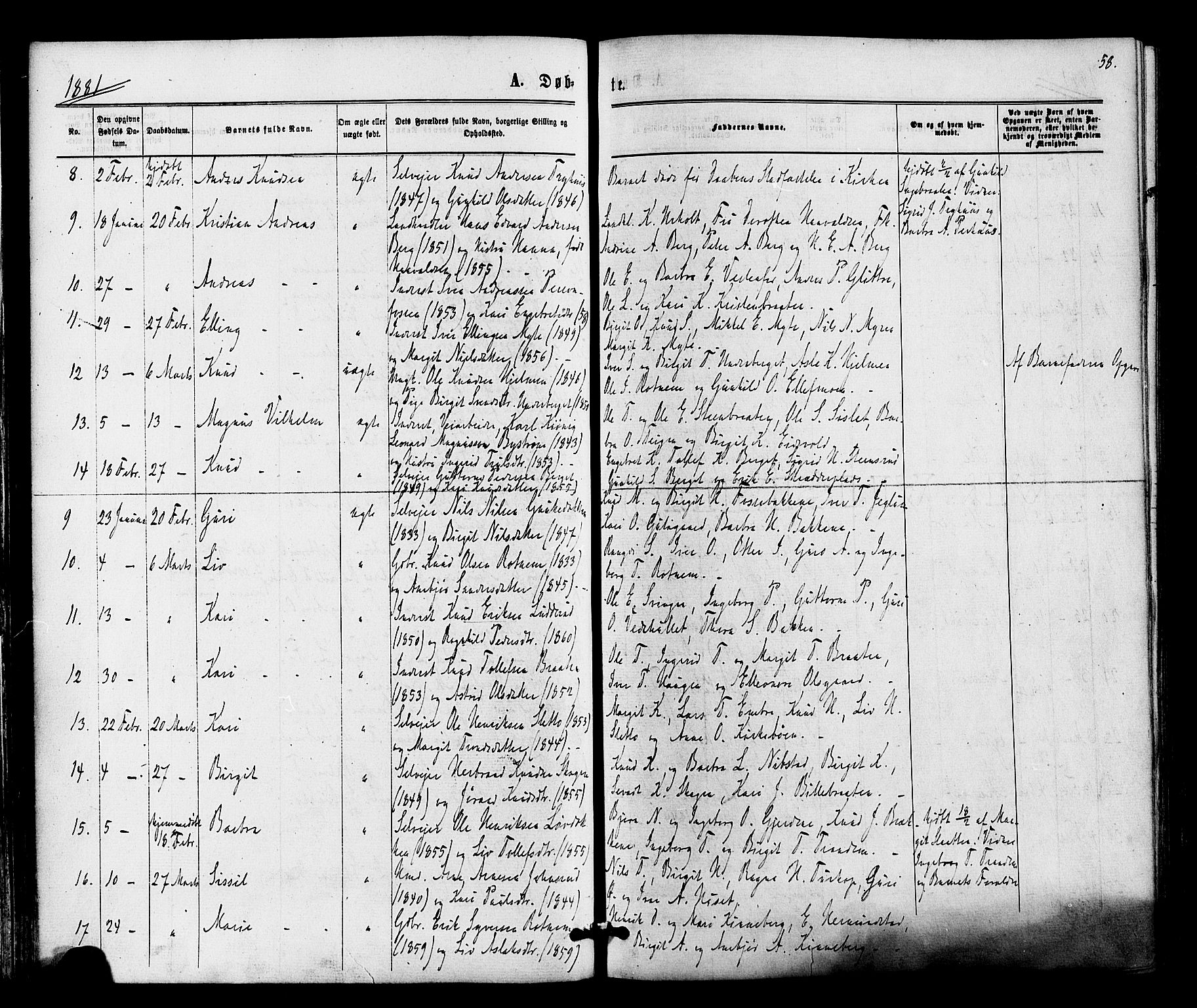 Gol kirkebøker, SAKO/A-226/F/Fa/L0004: Parish register (official) no. I 4, 1876-1886, p. 58