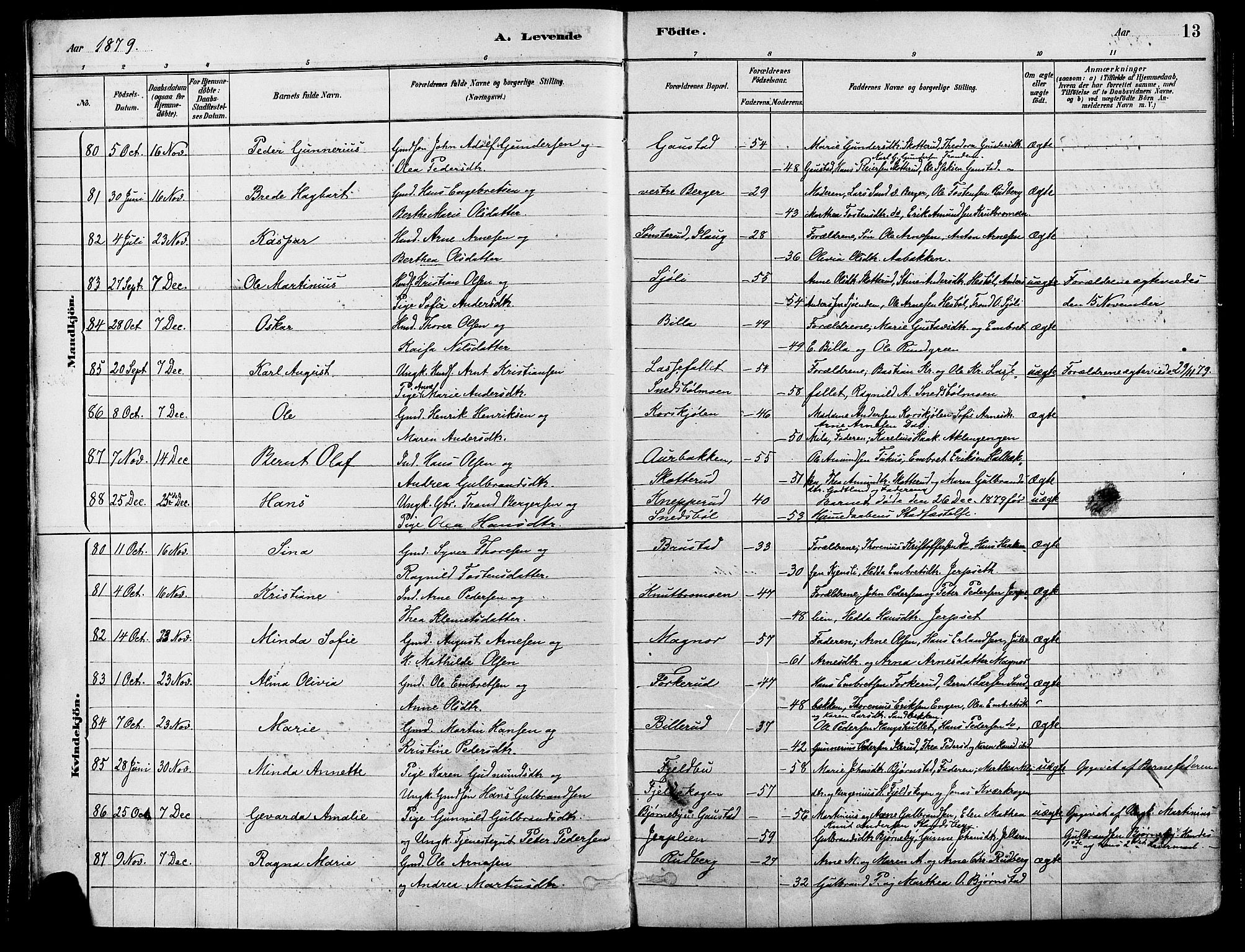 Eidskog prestekontor, SAH/PREST-026/H/Ha/Haa/L0003: Parish register (official) no. 3, 1879-1892, p. 13