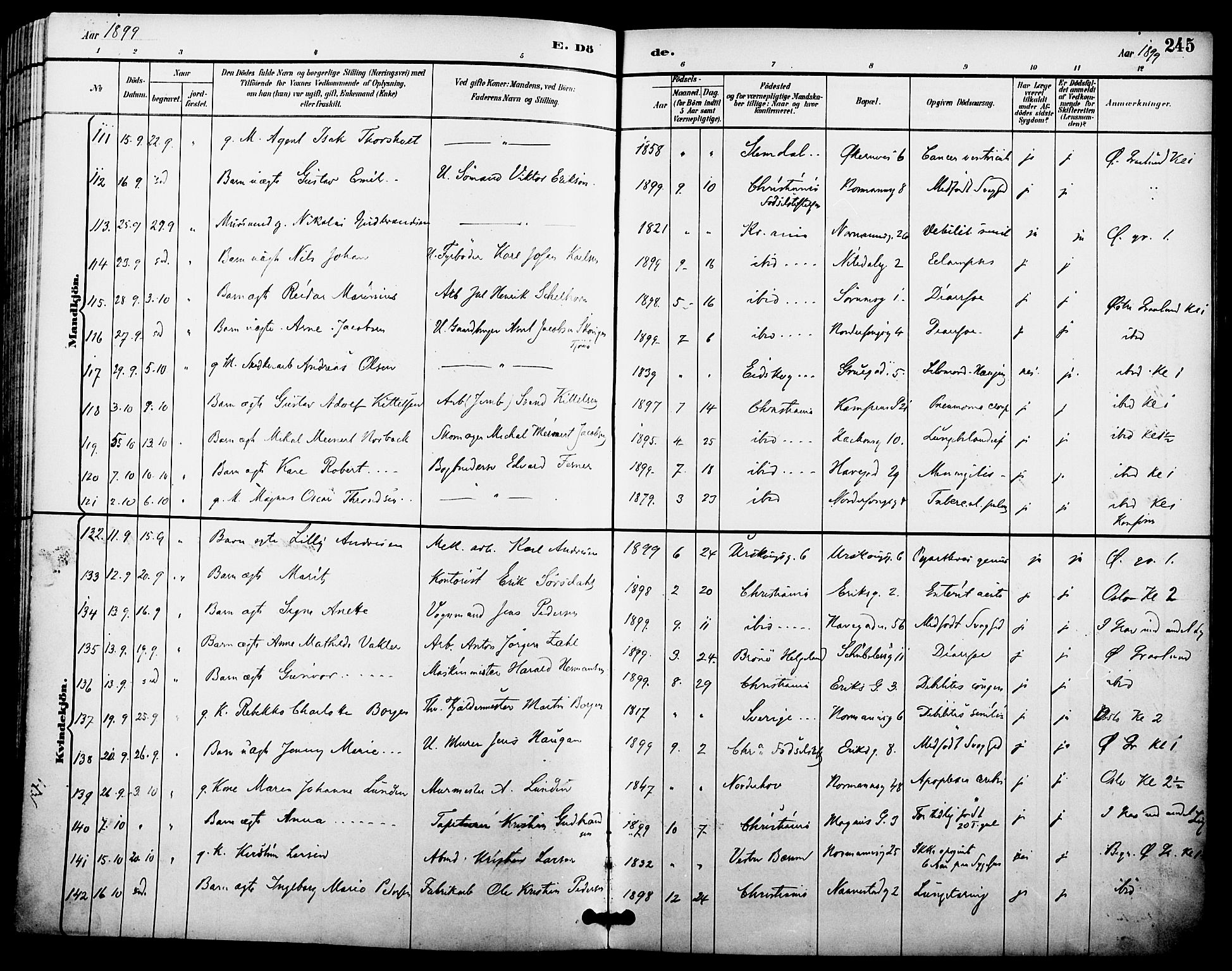 Kampen prestekontor Kirkebøker, AV/SAO-A-10853/F/Fa/L0008: Parish register (official) no. I 8, 1892-1902, p. 245