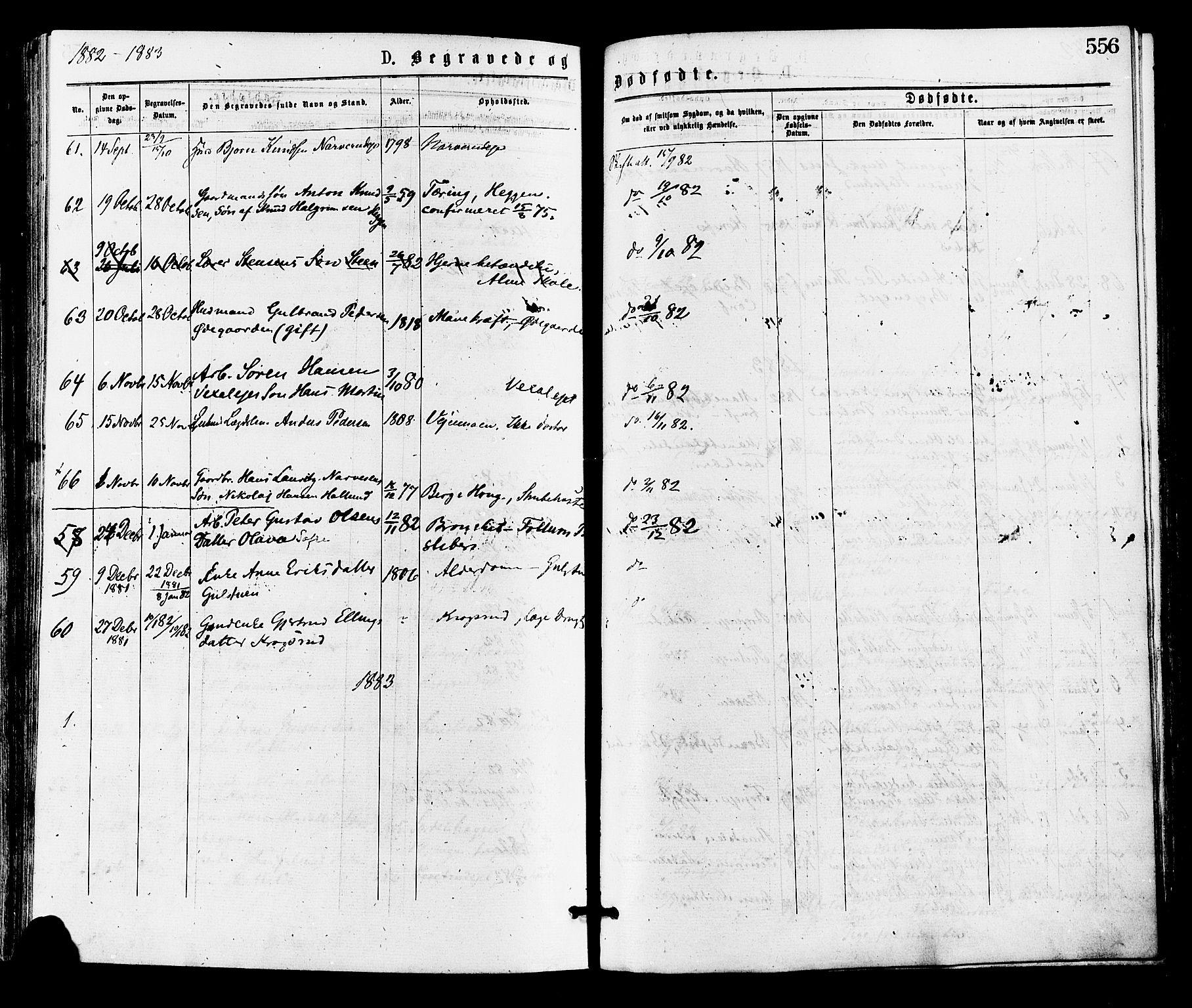 Norderhov kirkebøker, AV/SAKO-A-237/F/Fa/L0015: Parish register (official) no. 15, 1875-1884, p. 556