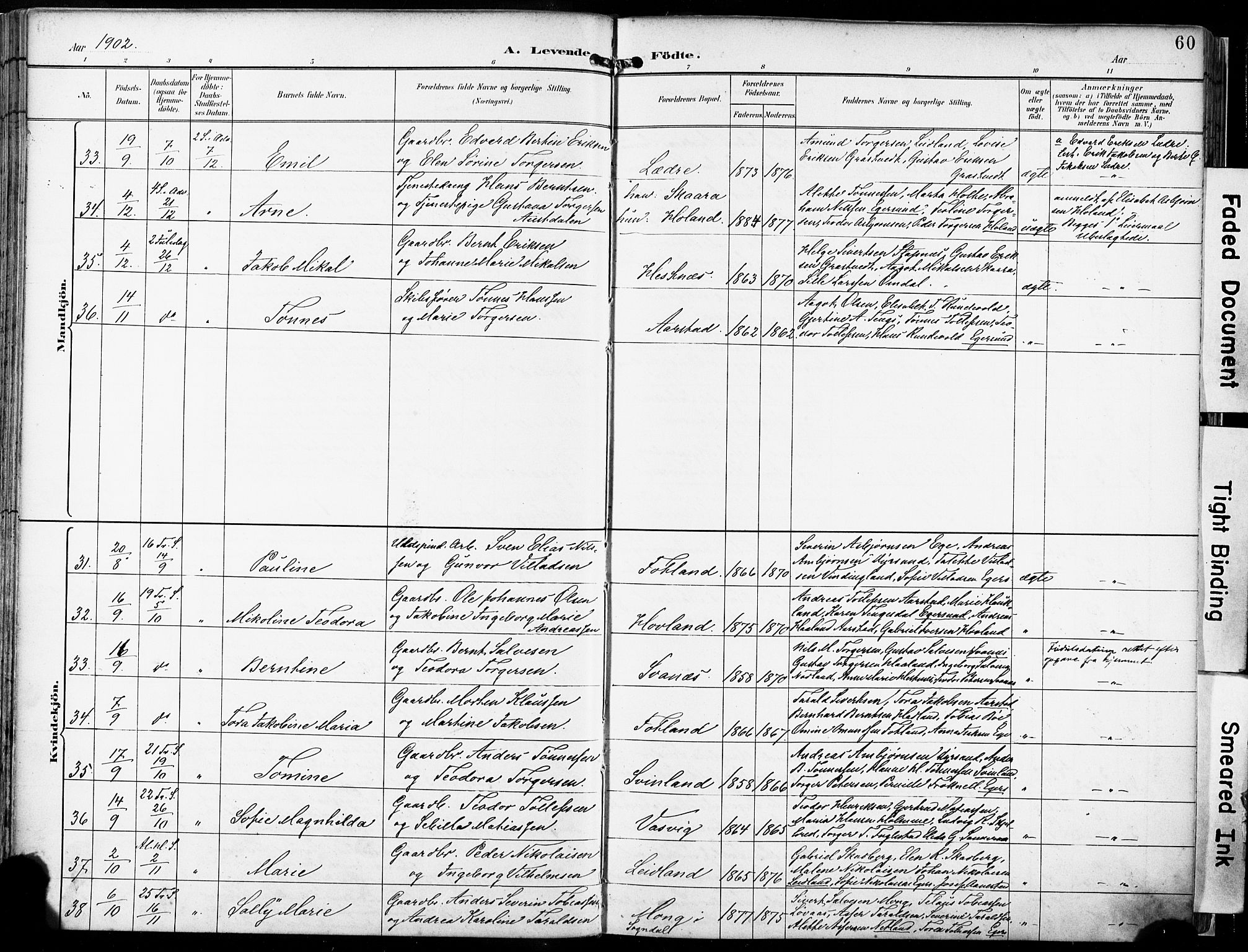 Eigersund sokneprestkontor, AV/SAST-A-101807/S08/L0018: Parish register (official) no. A 17, 1892-1905, p. 60