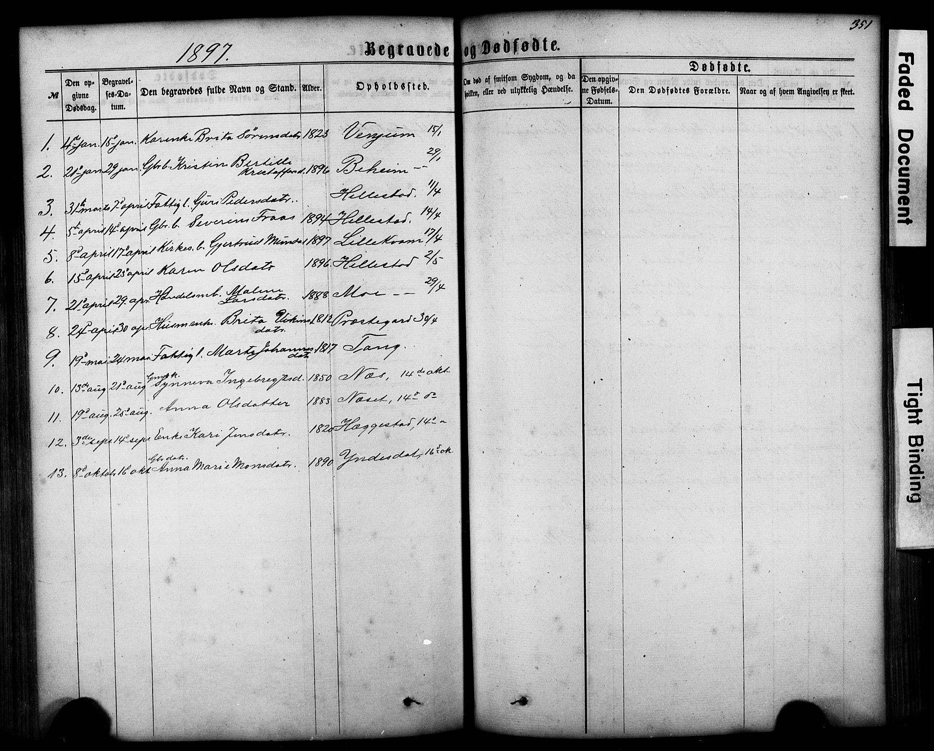 Hafslo sokneprestembete, SAB/A-80301/H/Hab/Haba/L0001: Parish register (copy) no. A 1, 1866-1908, p. 351