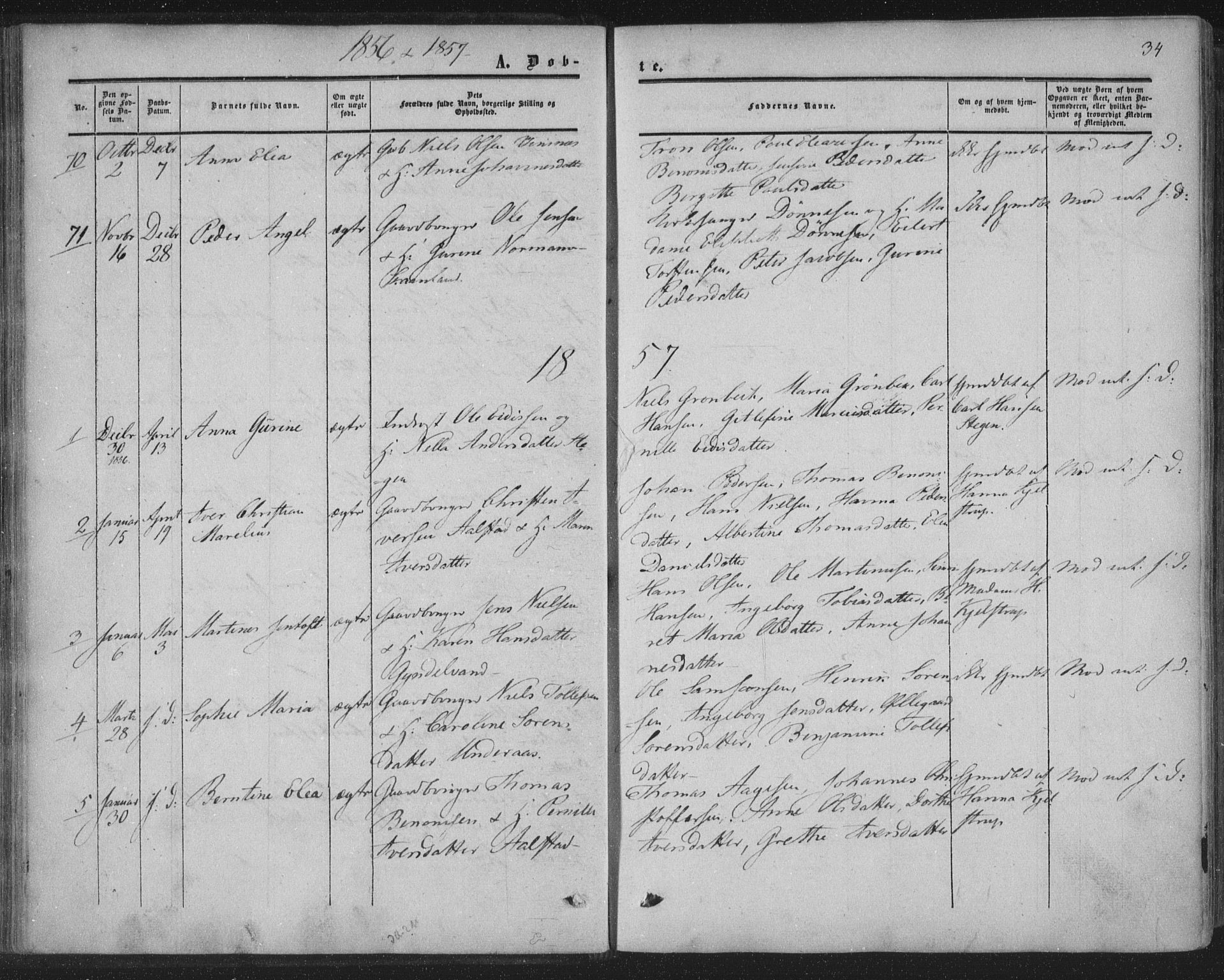 Ministerialprotokoller, klokkerbøker og fødselsregistre - Nordland, AV/SAT-A-1459/855/L0800: Parish register (official) no. 855A08, 1852-1864, p. 34