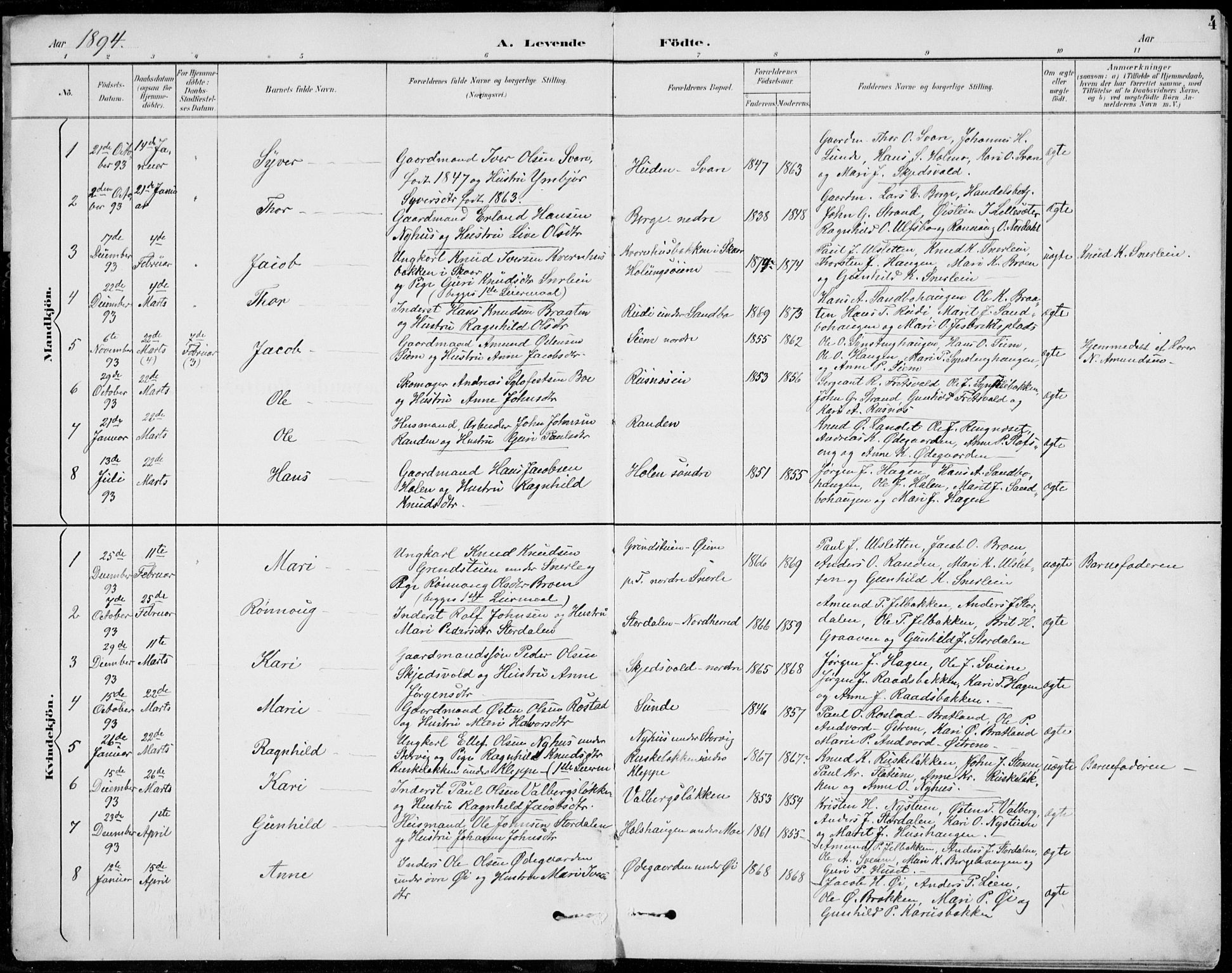 Vågå prestekontor, AV/SAH-PREST-076/H/Ha/Hab/L0002: Parish register (copy) no. 2, 1894-1939, p. 4