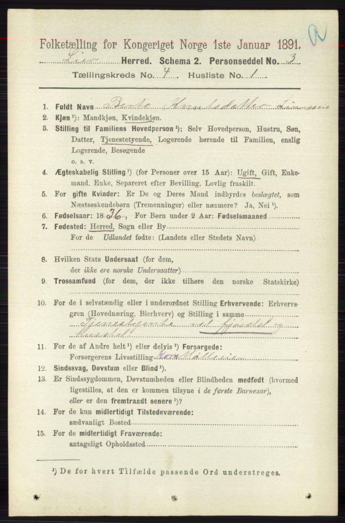 RA, 1891 census for 0626 Lier, 1891, p. 2871