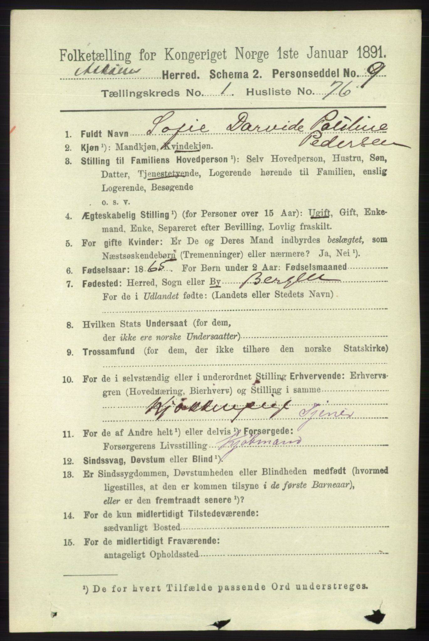 RA, 1891 census for 1247 Askøy, 1891, p. 1031