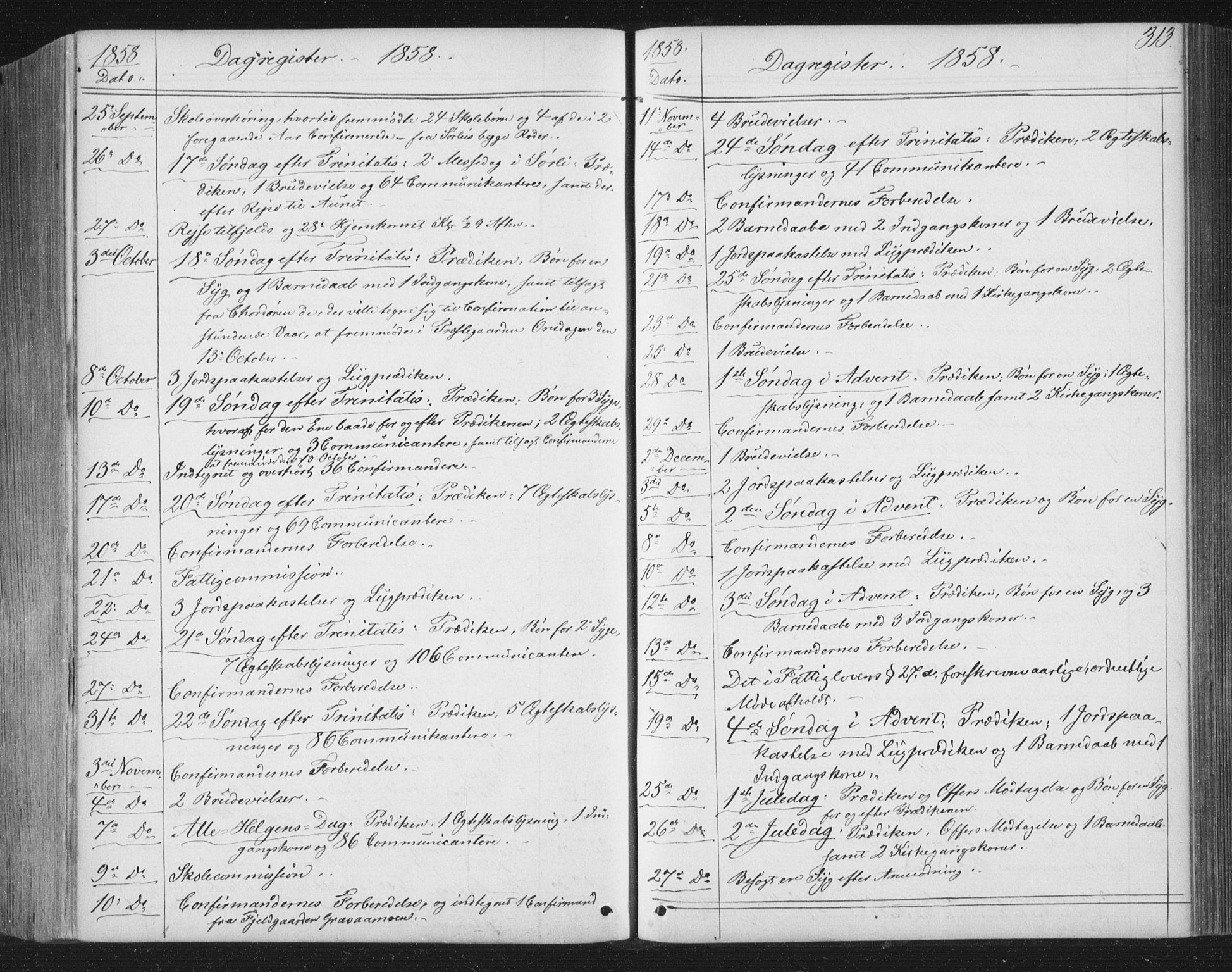 Ministerialprotokoller, klokkerbøker og fødselsregistre - Nord-Trøndelag, SAT/A-1458/749/L0472: Parish register (official) no. 749A06, 1857-1873, p. 313
