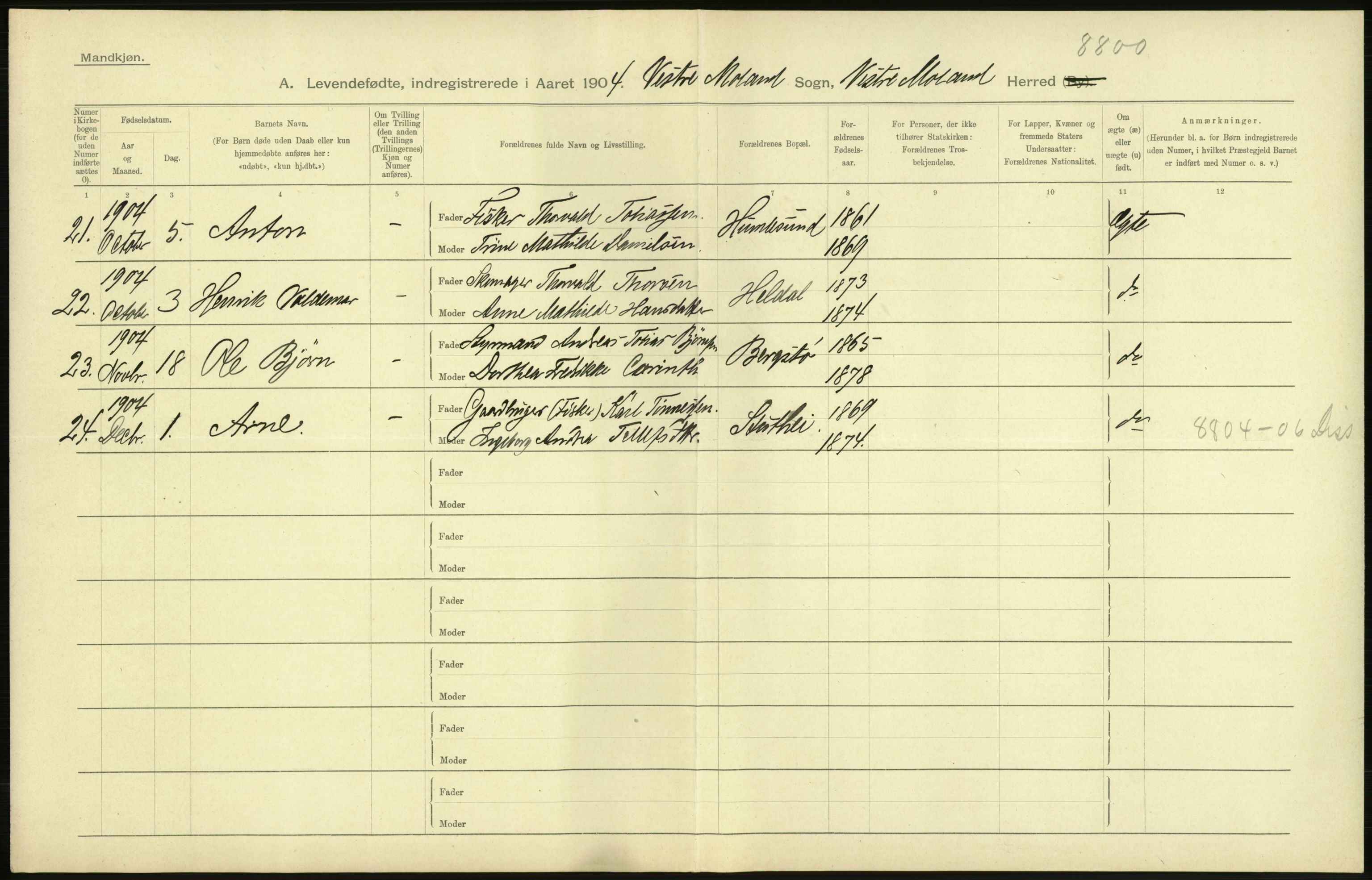 Statistisk sentralbyrå, Sosiodemografiske emner, Befolkning, AV/RA-S-2228/D/Df/Dfa/Dfab/L0010: Nedenes amt: Fødte, gifte, døde, 1904, p. 60