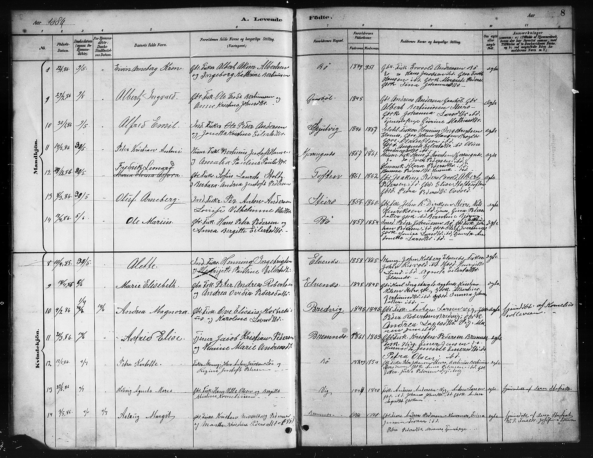 Ministerialprotokoller, klokkerbøker og fødselsregistre - Nordland, AV/SAT-A-1459/895/L1382: Parish register (copy) no. 895C04, 1885-1896, p. 8