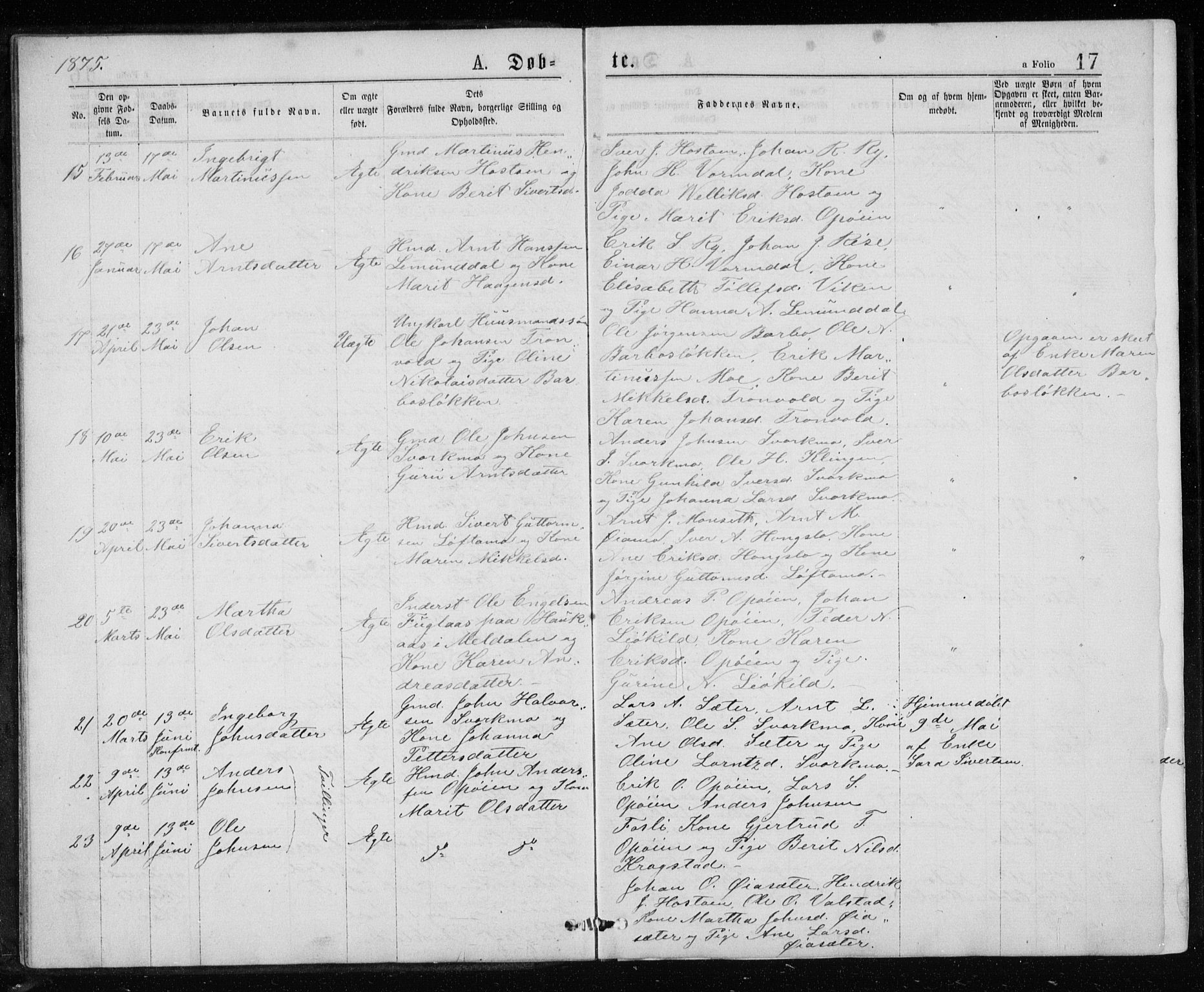 Ministerialprotokoller, klokkerbøker og fødselsregistre - Sør-Trøndelag, SAT/A-1456/671/L0843: Parish register (copy) no. 671C02, 1873-1892, p. 17