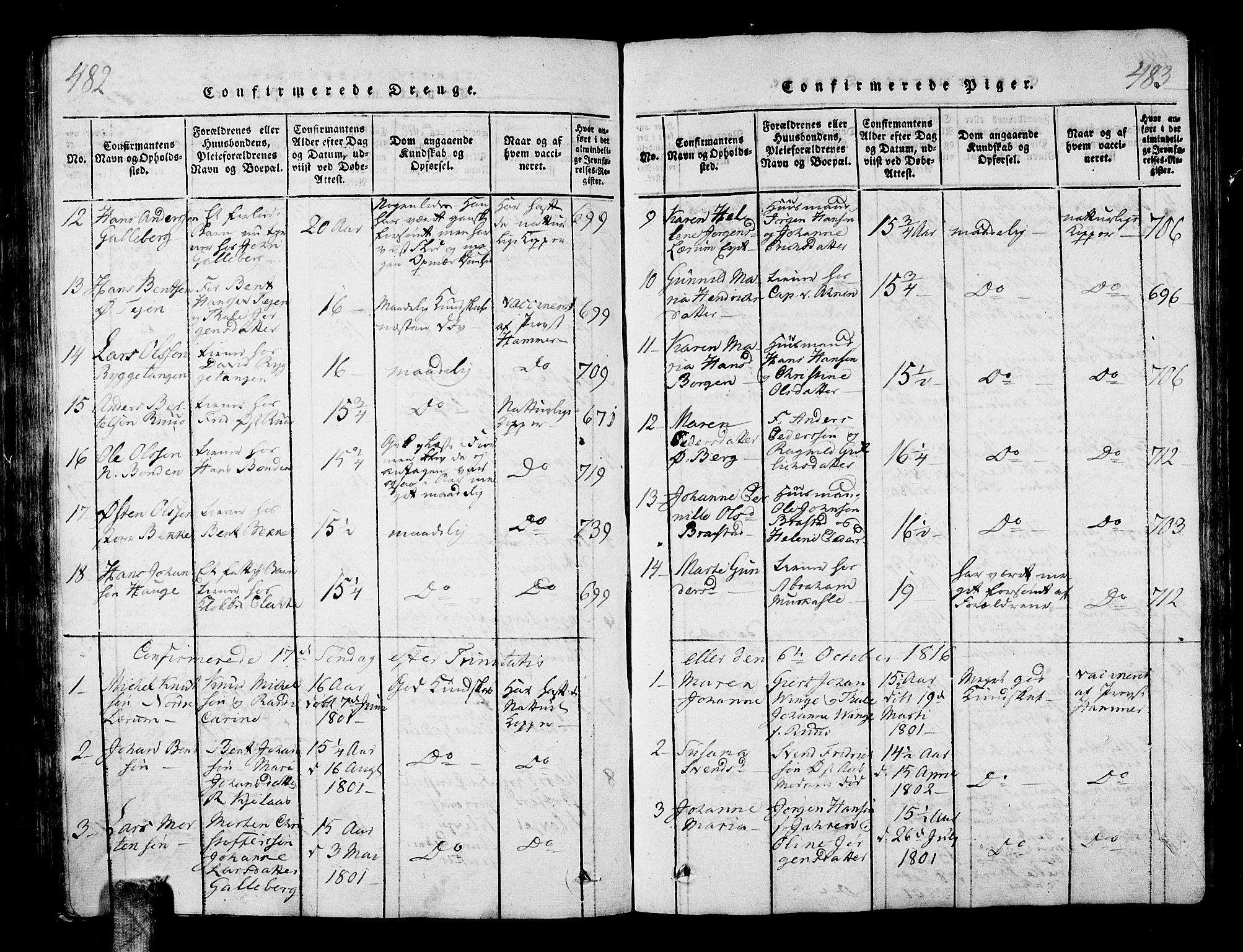 Sande Kirkebøker, AV/SAKO-A-53/G/Ga/L0001: Parish register (copy) no. 1, 1814-1847, p. 482-483