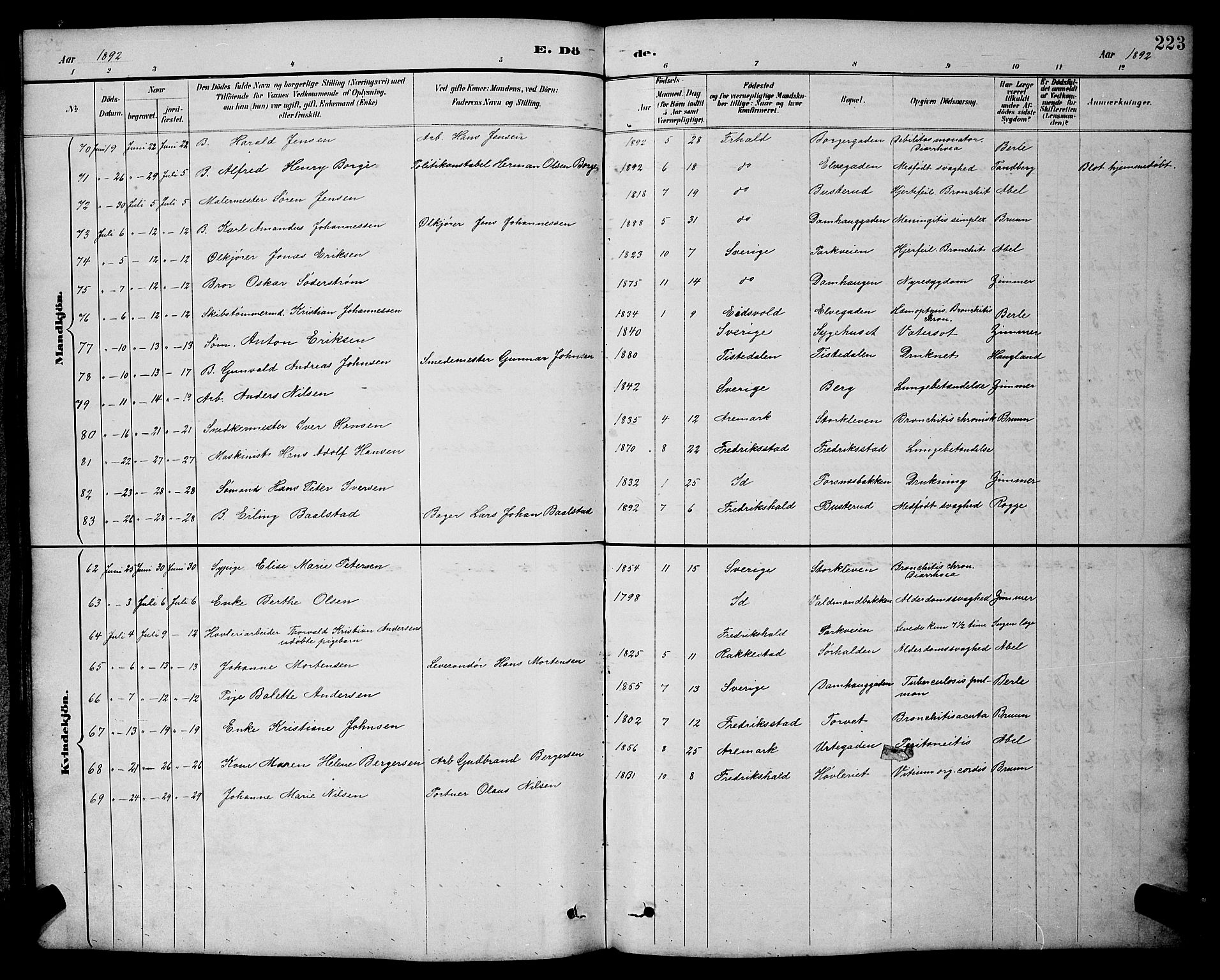 Halden prestekontor Kirkebøker, AV/SAO-A-10909/G/Ga/L0009: Parish register (copy) no. 9, 1885-1908, p. 223