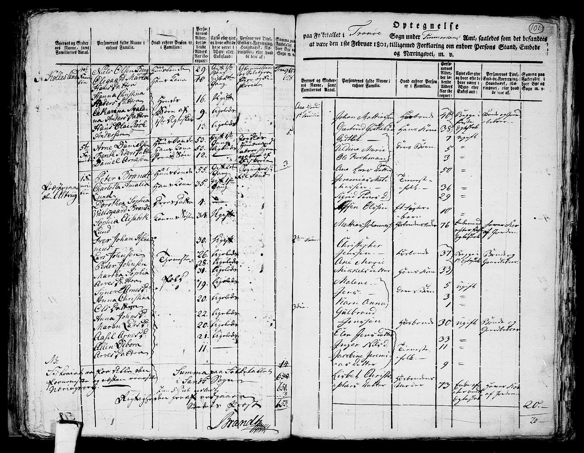 RA, 1801 census for 1915P Sand, 1801, p. 100b-101a