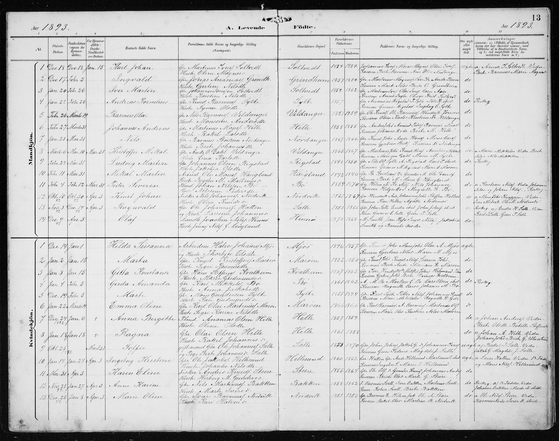 Manger sokneprestembete, AV/SAB-A-76801/H/Hab: Parish register (copy) no. B 3, 1891-1907, p. 13