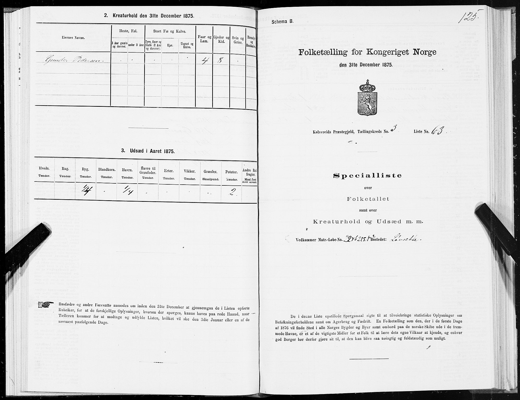 SAT, 1875 census for 1752P Kolvereid, 1875, p. 2125