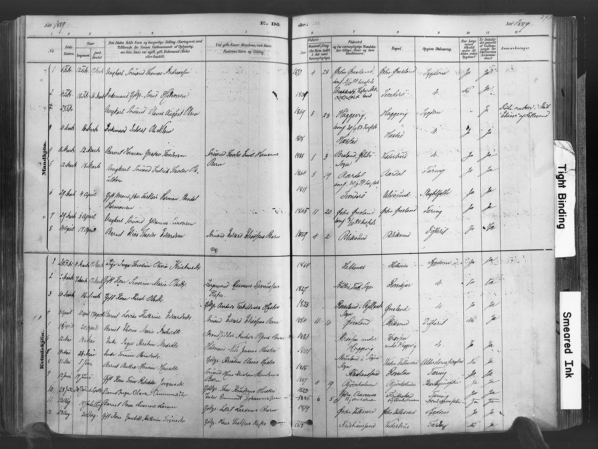 Høvåg sokneprestkontor, SAK/1111-0025/F/Fa/L0005: Parish register (official) no. A 5, 1878-1893, p. 290