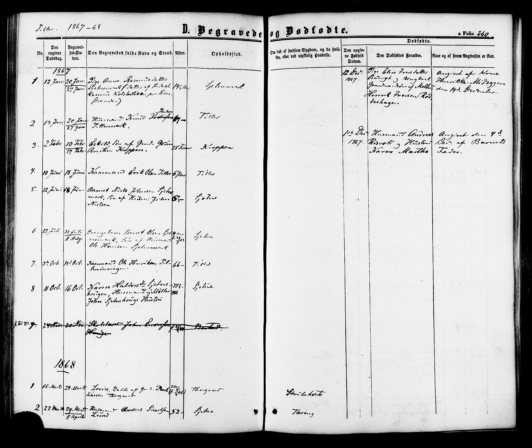 Ministerialprotokoller, klokkerbøker og fødselsregistre - Sør-Trøndelag, SAT/A-1456/618/L0443: Parish register (official) no. 618A06 /2, 1863-1879, p. 260