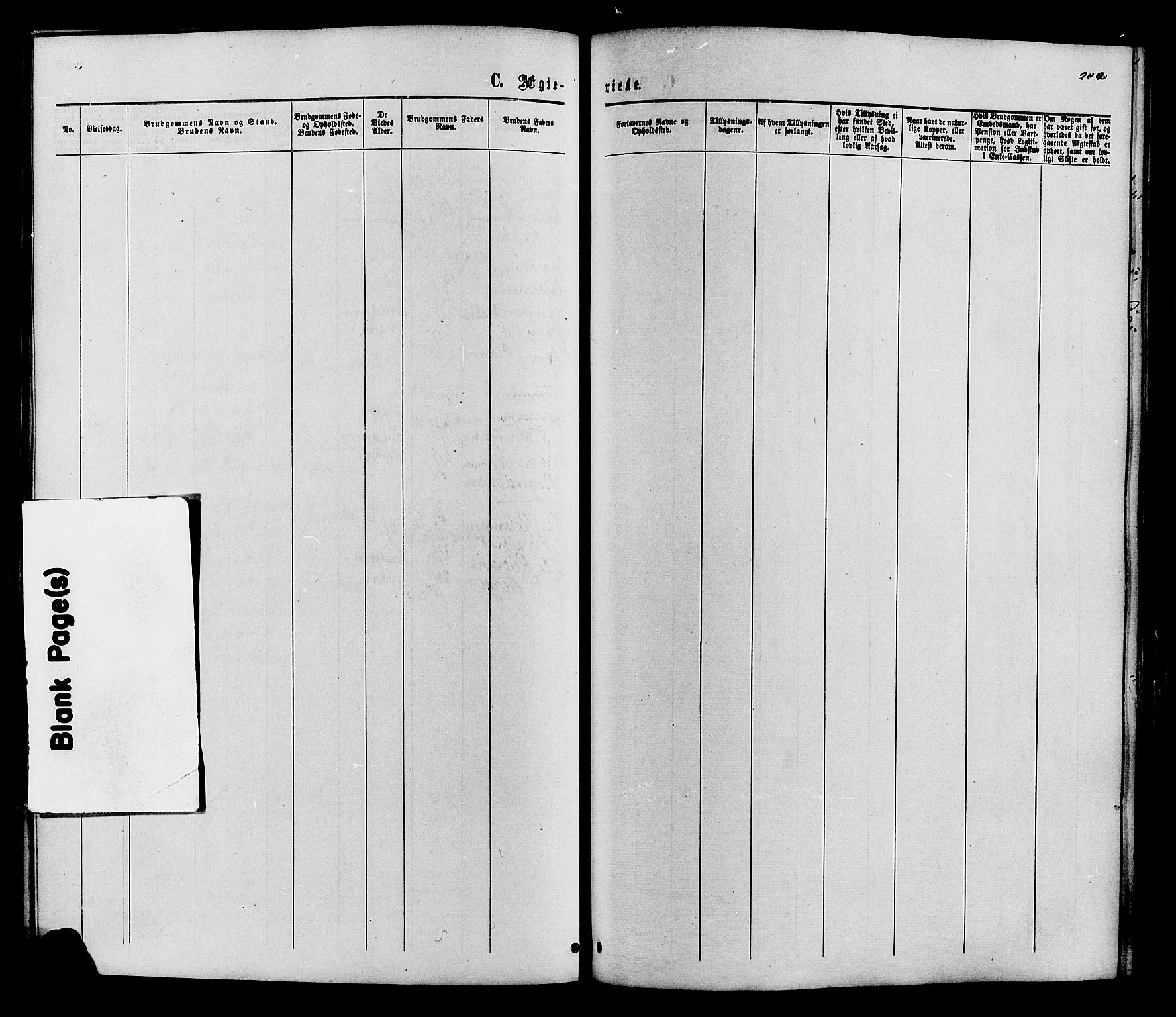 Vestre Slidre prestekontor, SAH/PREST-136/H/Ha/Haa/L0003: Parish register (official) no. 3, 1865-1880, p. 202
