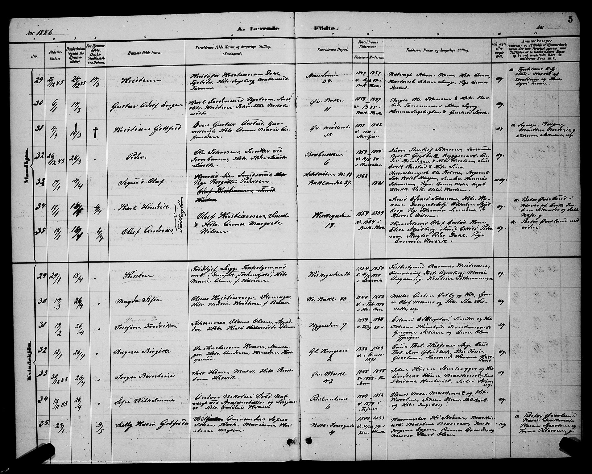 Ministerialprotokoller, klokkerbøker og fødselsregistre - Sør-Trøndelag, AV/SAT-A-1456/604/L0222: Parish register (copy) no. 604C05, 1886-1895, p. 5