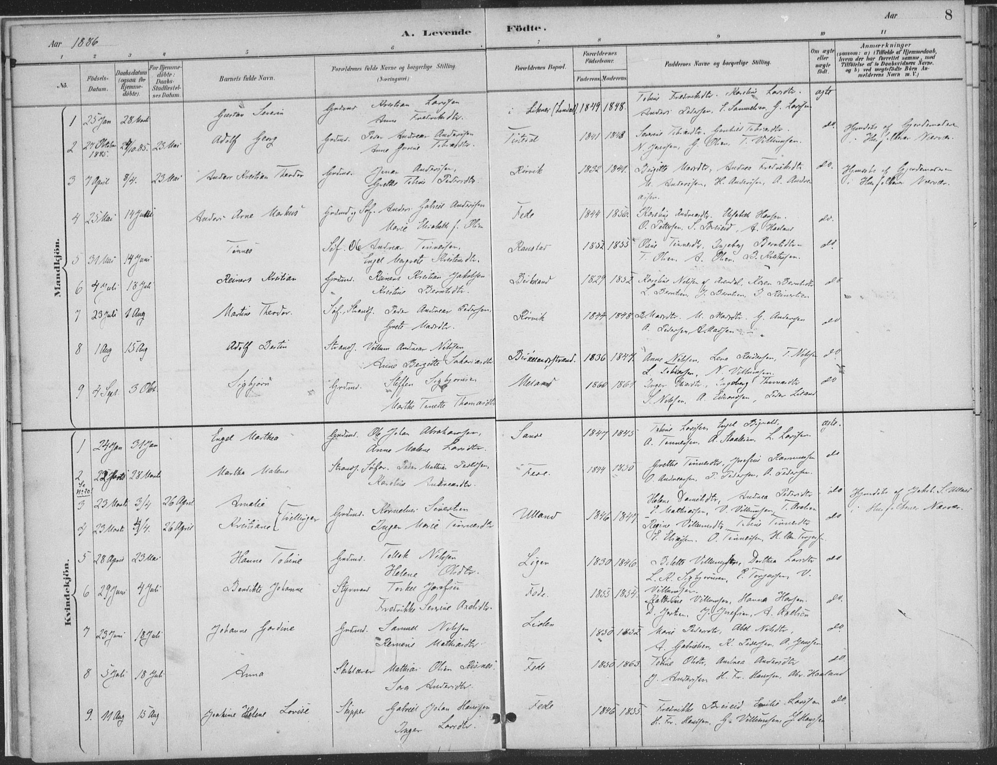 Kvinesdal sokneprestkontor, SAK/1111-0026/F/Fa/Faa/L0004: Parish register (official) no. A 4, 1882-1897, p. 8