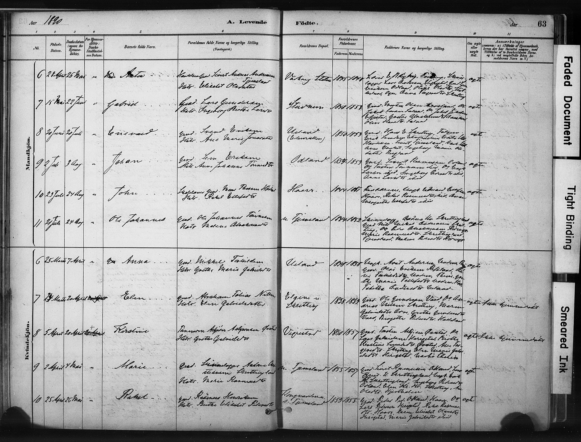 Hå sokneprestkontor, AV/SAST-A-101801/001/30BA/L0011: Parish register (official) no. A 10, 1879-1900, p. 63