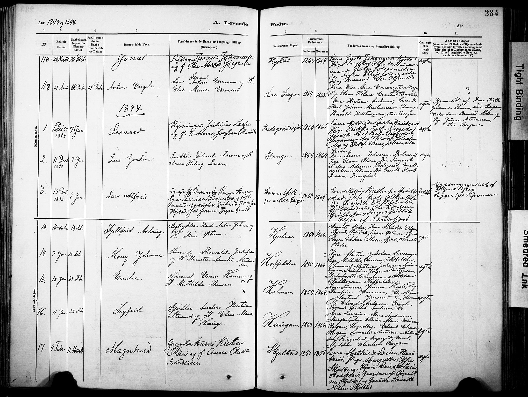 Sandar kirkebøker, SAKO/A-243/F/Fa/L0012: Parish register (official) no. 12, 1883-1895, p. 234