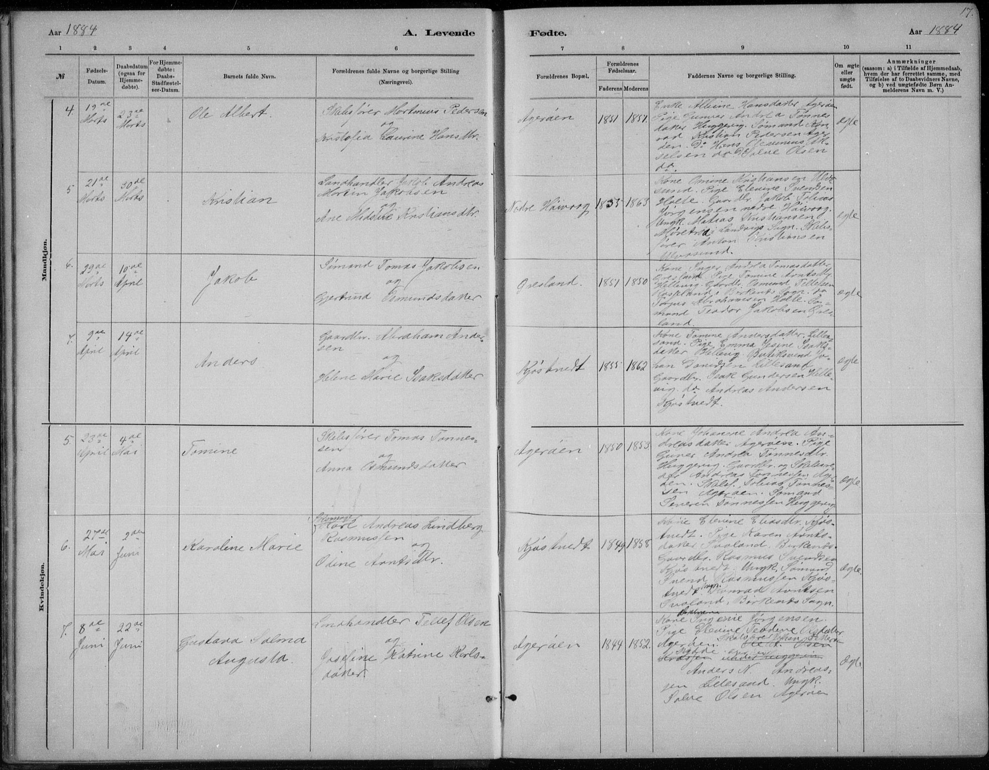 Høvåg sokneprestkontor, SAK/1111-0025/F/Fb/L0004: Parish register (copy) no. B 4, 1883-1898, p. 17