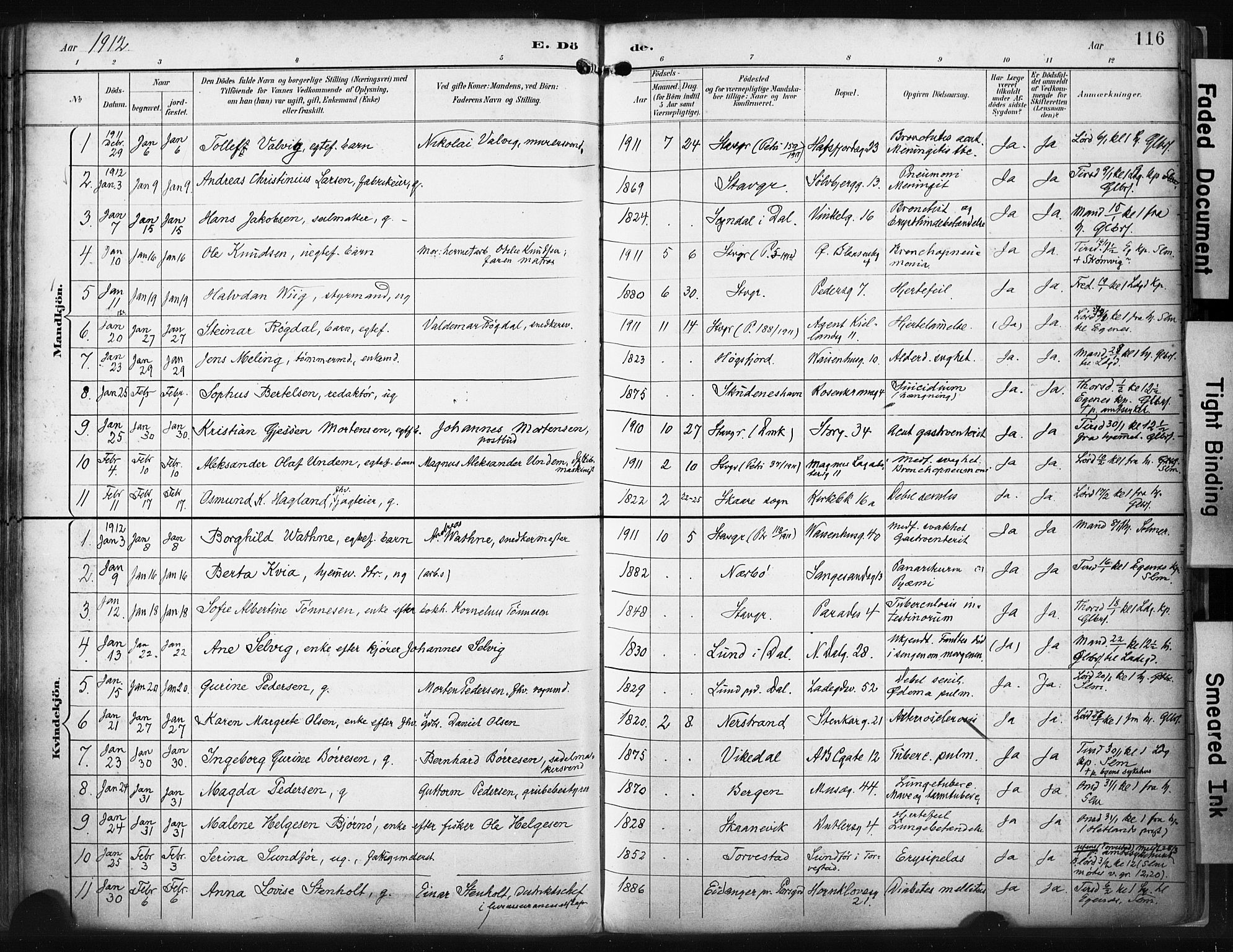 St. Petri sokneprestkontor, AV/SAST-A-101813/001/30/30BA/L0022: Parish register (official) no. A 22, 1895-1919, p. 116