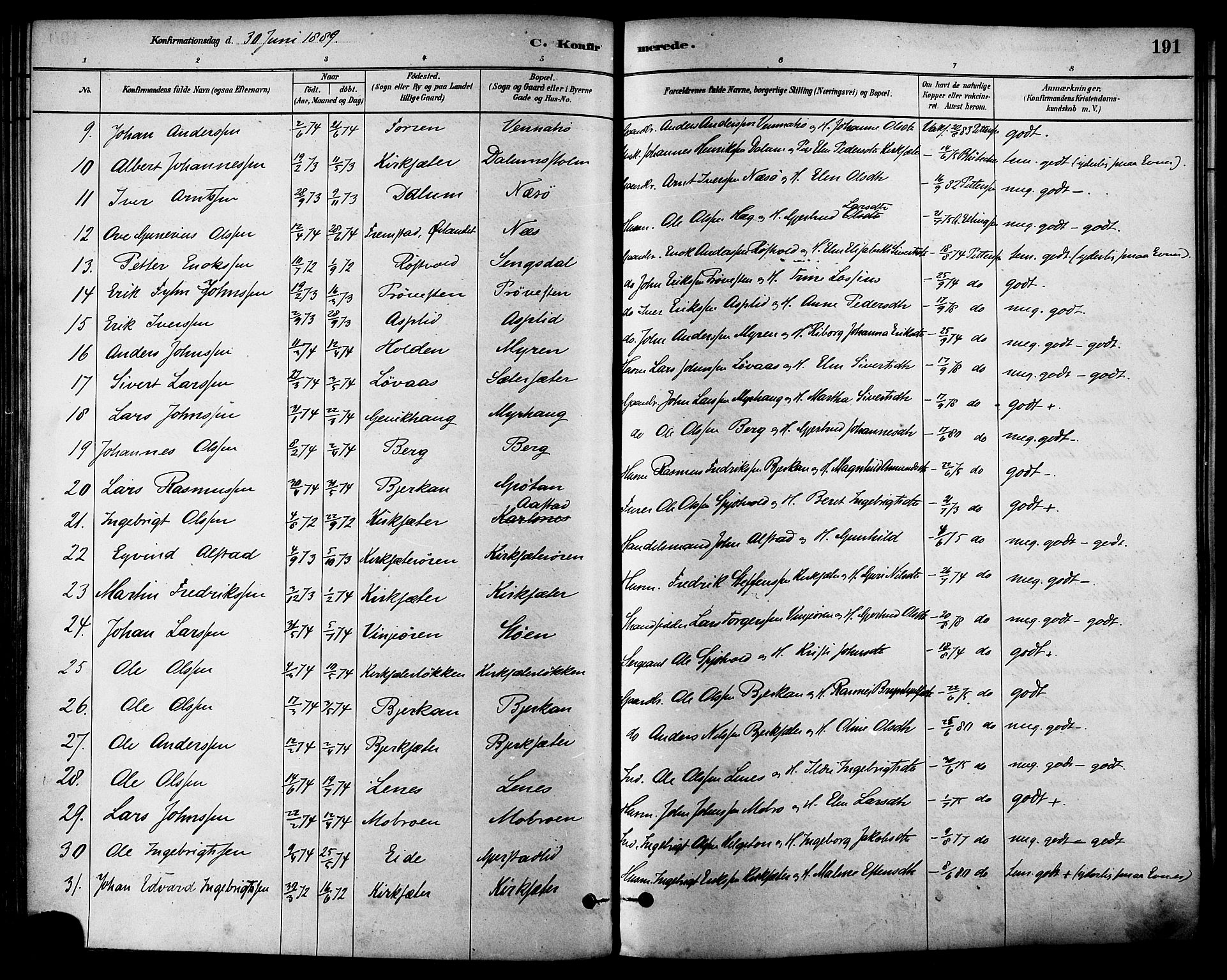 Ministerialprotokoller, klokkerbøker og fødselsregistre - Sør-Trøndelag, SAT/A-1456/630/L0496: Parish register (official) no. 630A09, 1879-1895, p. 191