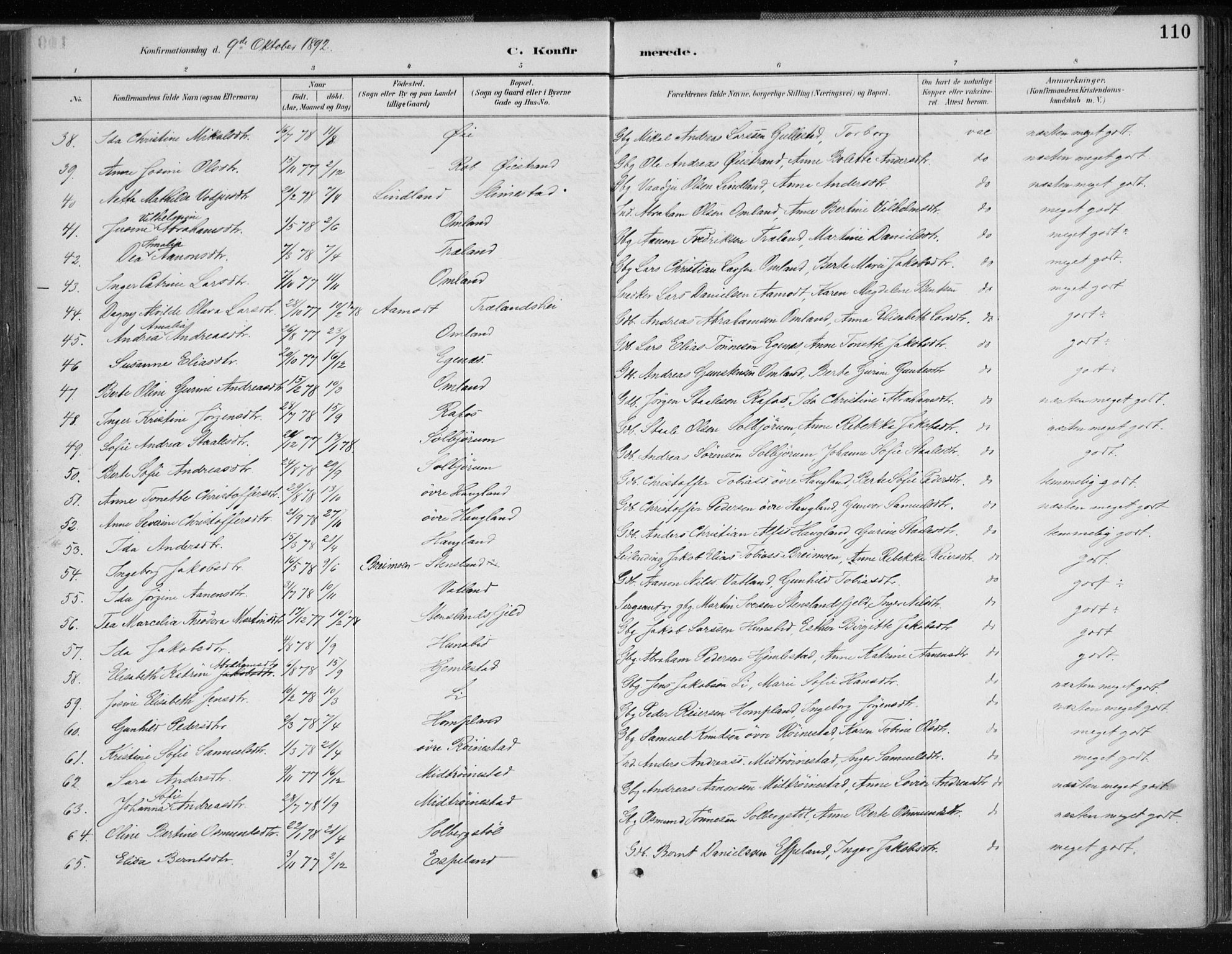 Kvinesdal sokneprestkontor, AV/SAK-1111-0026/F/Fa/Fab/L0008: Parish register (official) no. A 8, 1886-1897, p. 110