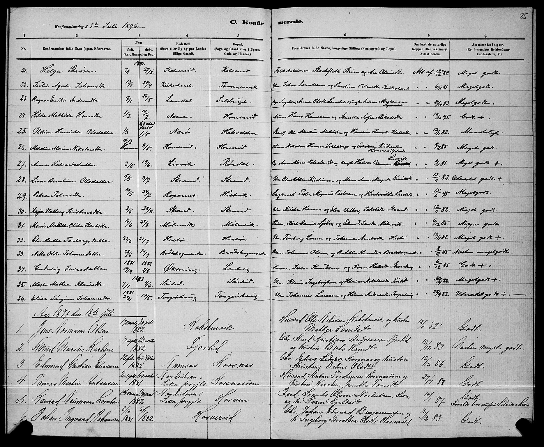 Ministerialprotokoller, klokkerbøker og fødselsregistre - Nord-Trøndelag, SAT/A-1458/780/L0651: Parish register (copy) no. 780C03, 1884-1898, p. 85