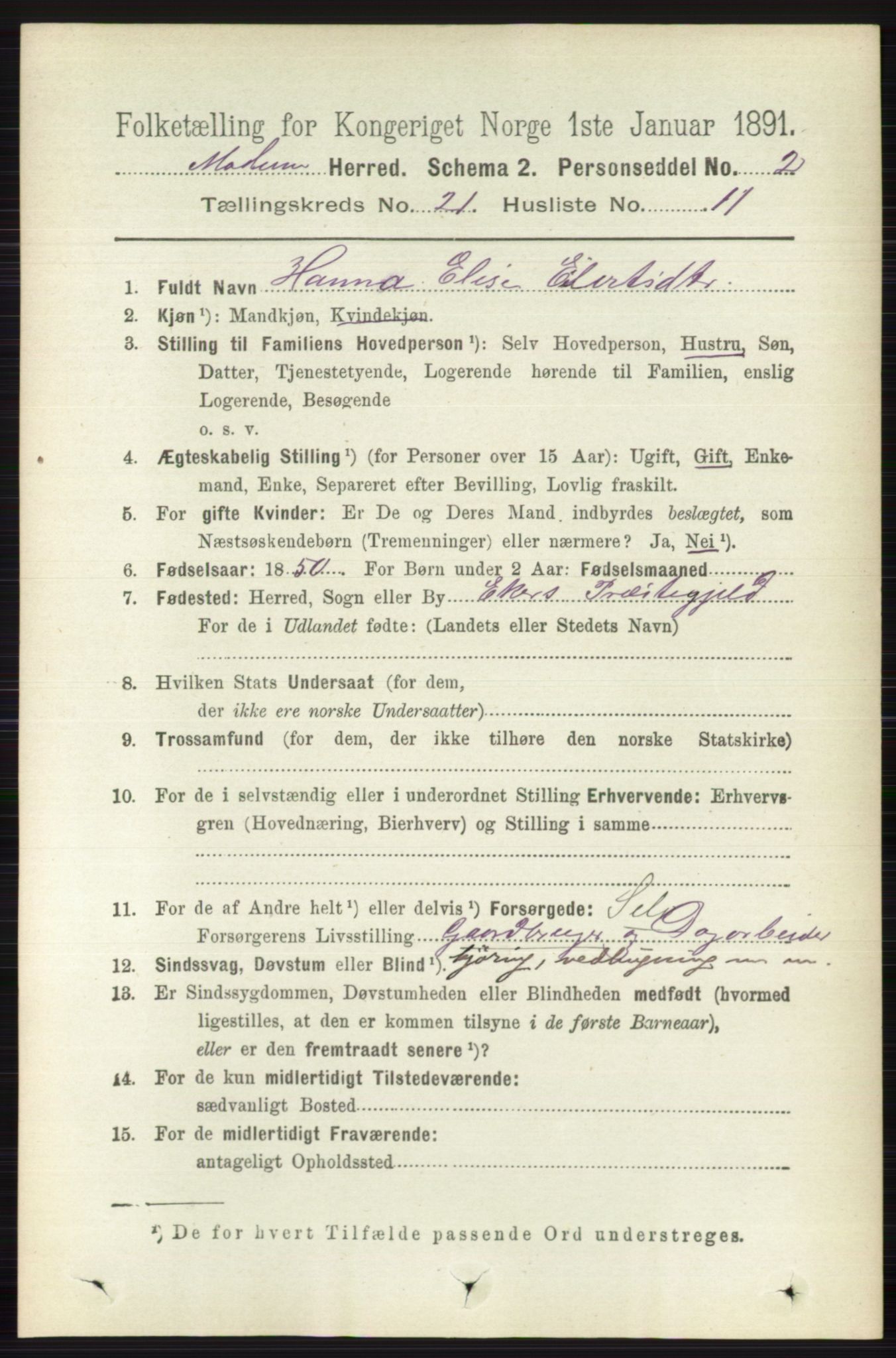 RA, 1891 census for 0623 Modum, 1891, p. 8163