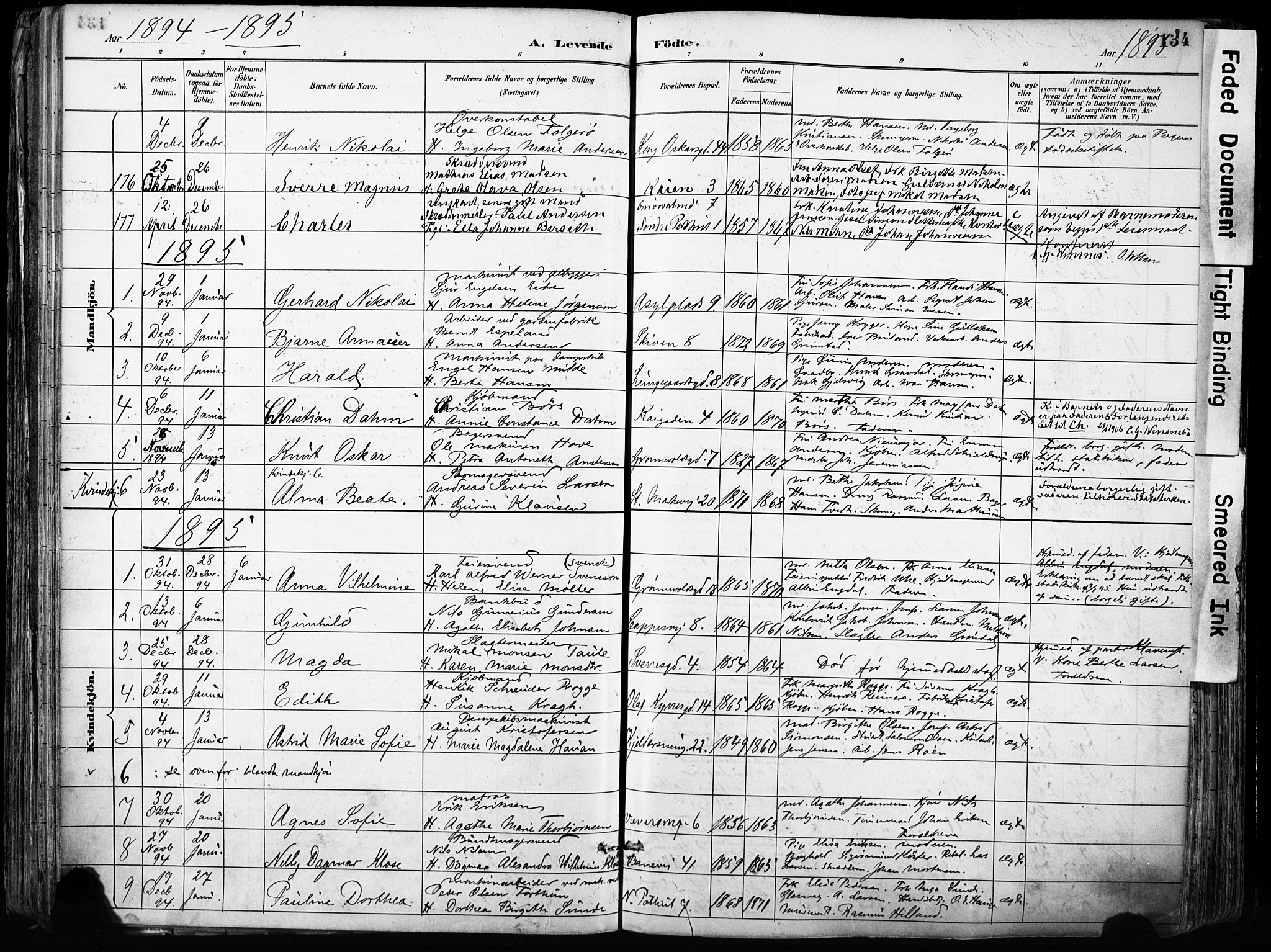 Domkirken sokneprestembete, SAB/A-74801/H/Haa/L0024: Parish register (official) no. B 7, 1888-1903, p. 134