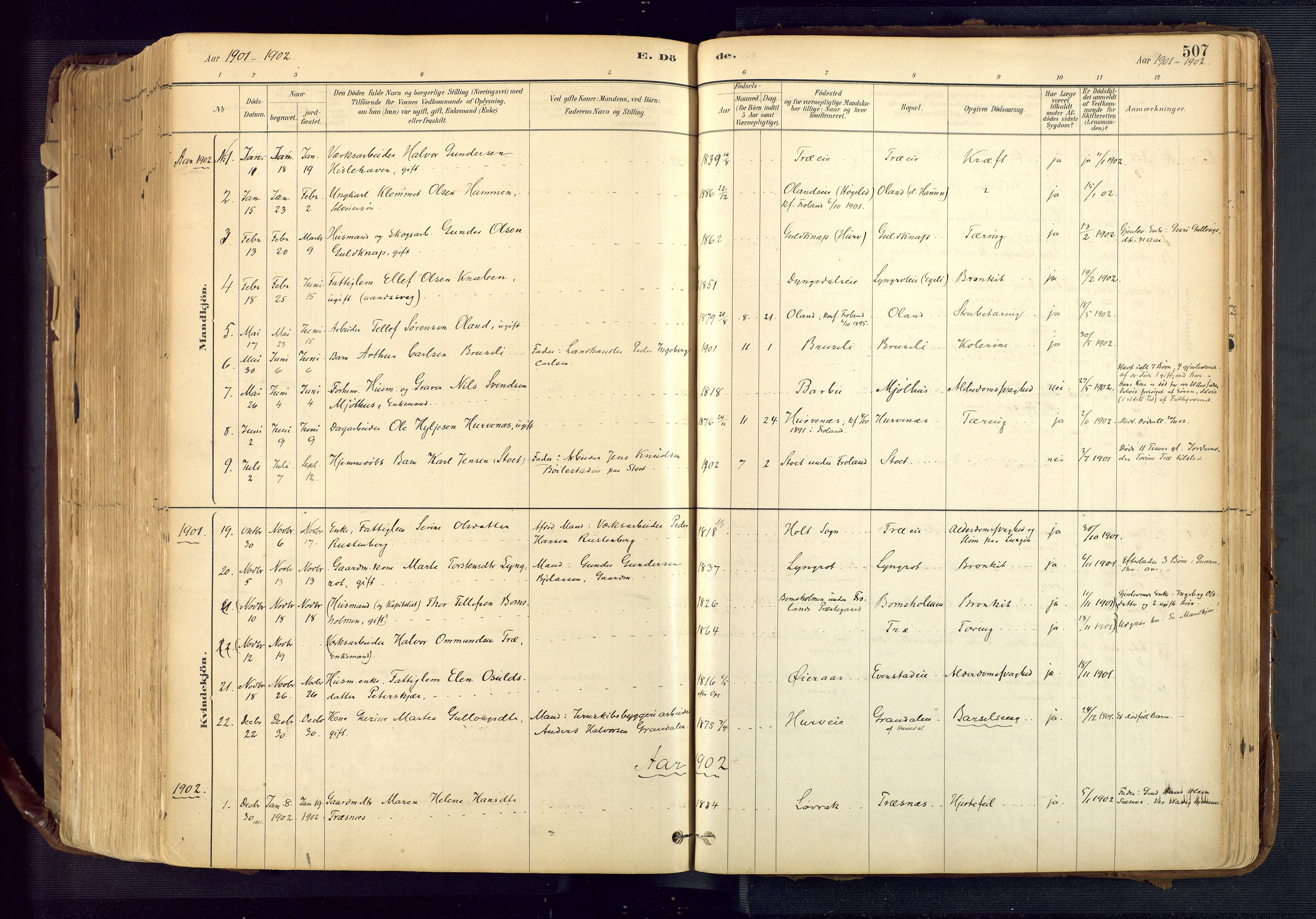 Froland sokneprestkontor, SAK/1111-0013/F/Fa/L0005: Parish register (official) no. A 5, 1882-1921, p. 507
