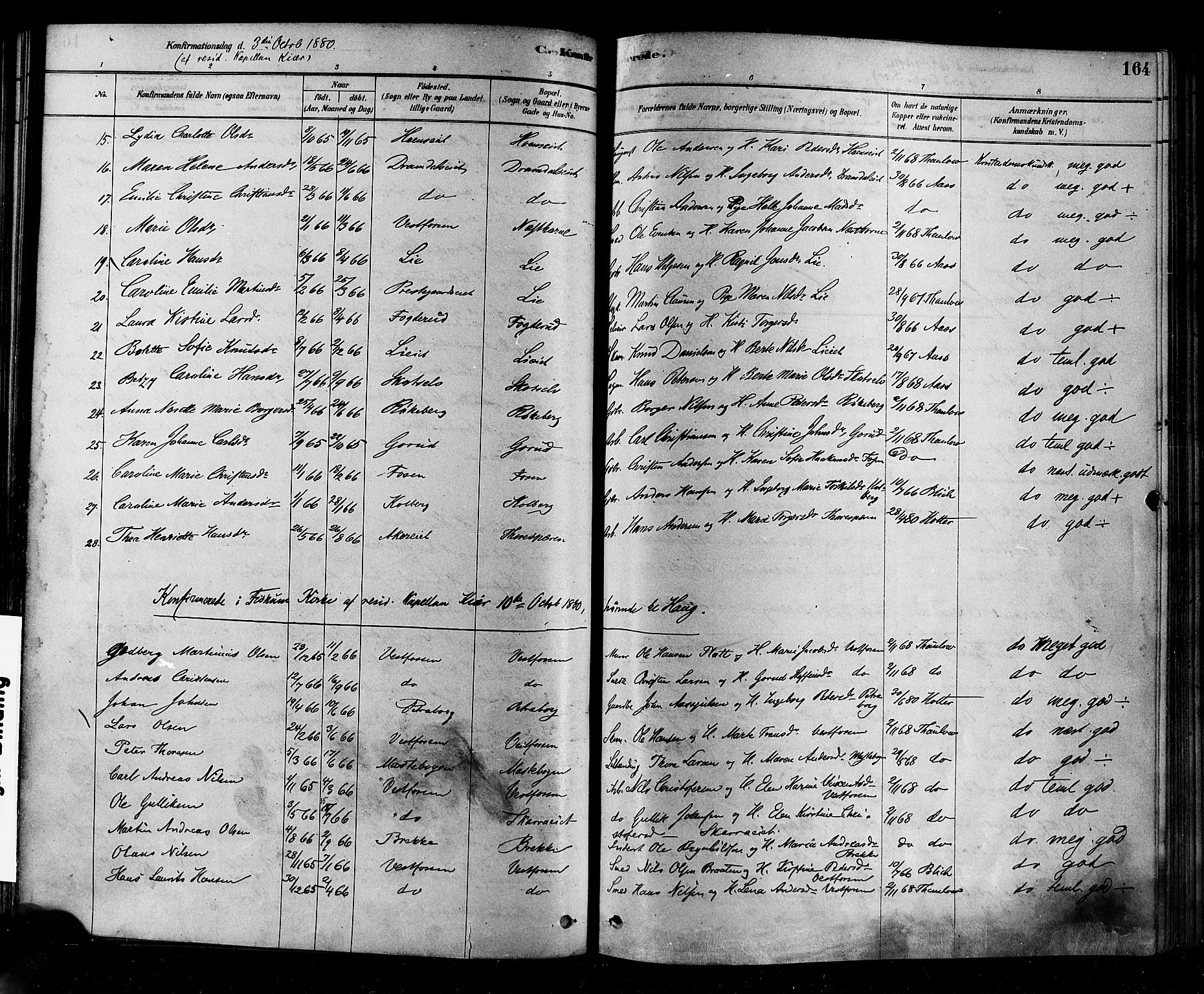 Eiker kirkebøker, AV/SAKO-A-4/F/Fb/L0001: Parish register (official) no. II 1, 1878-1888, p. 164